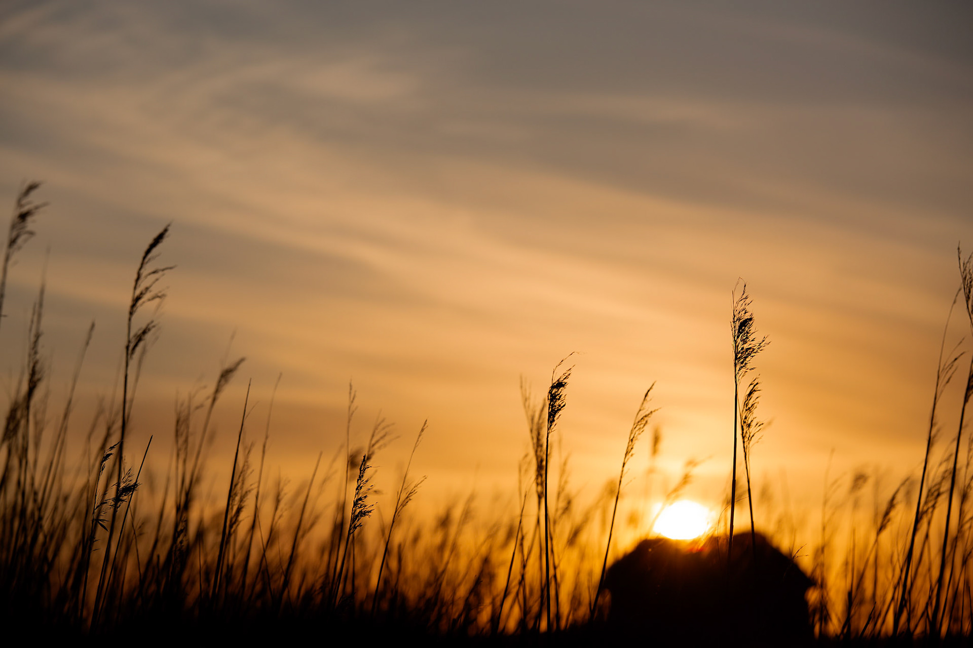Denmark, sunset