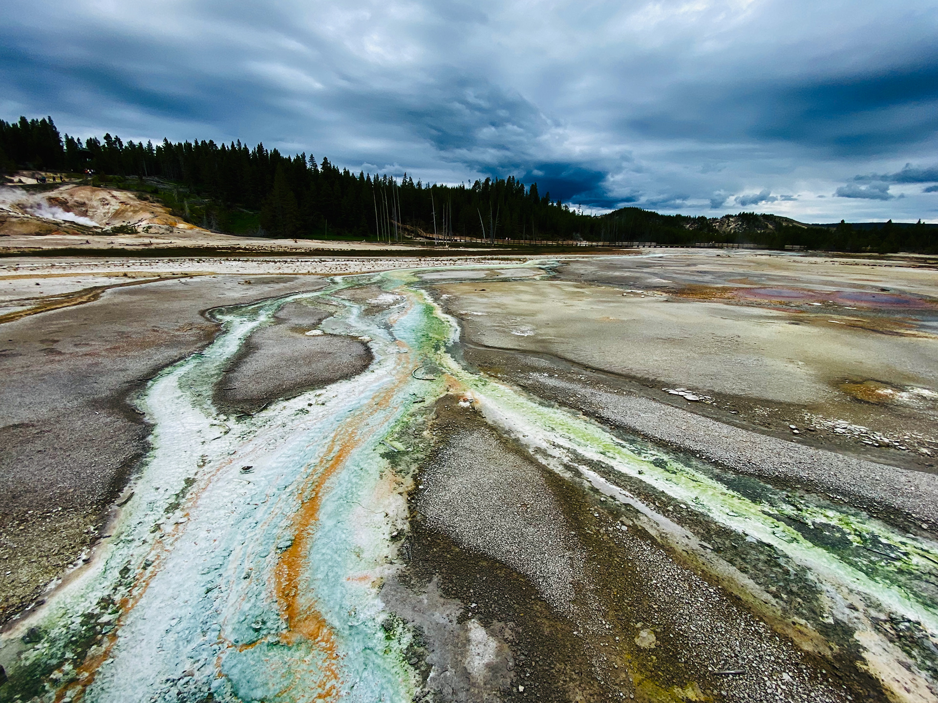 yellowstone national park