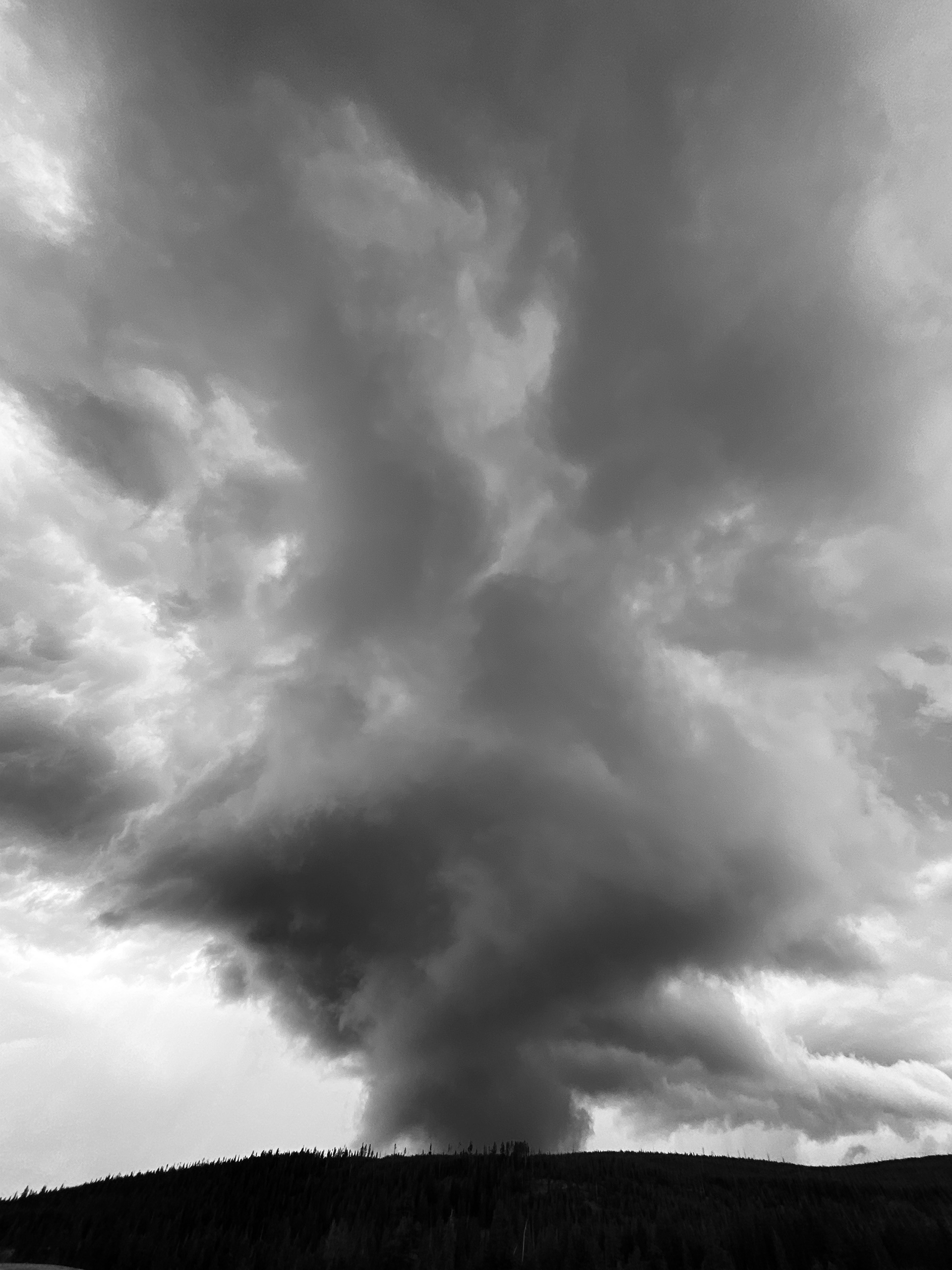 yellowstone national park