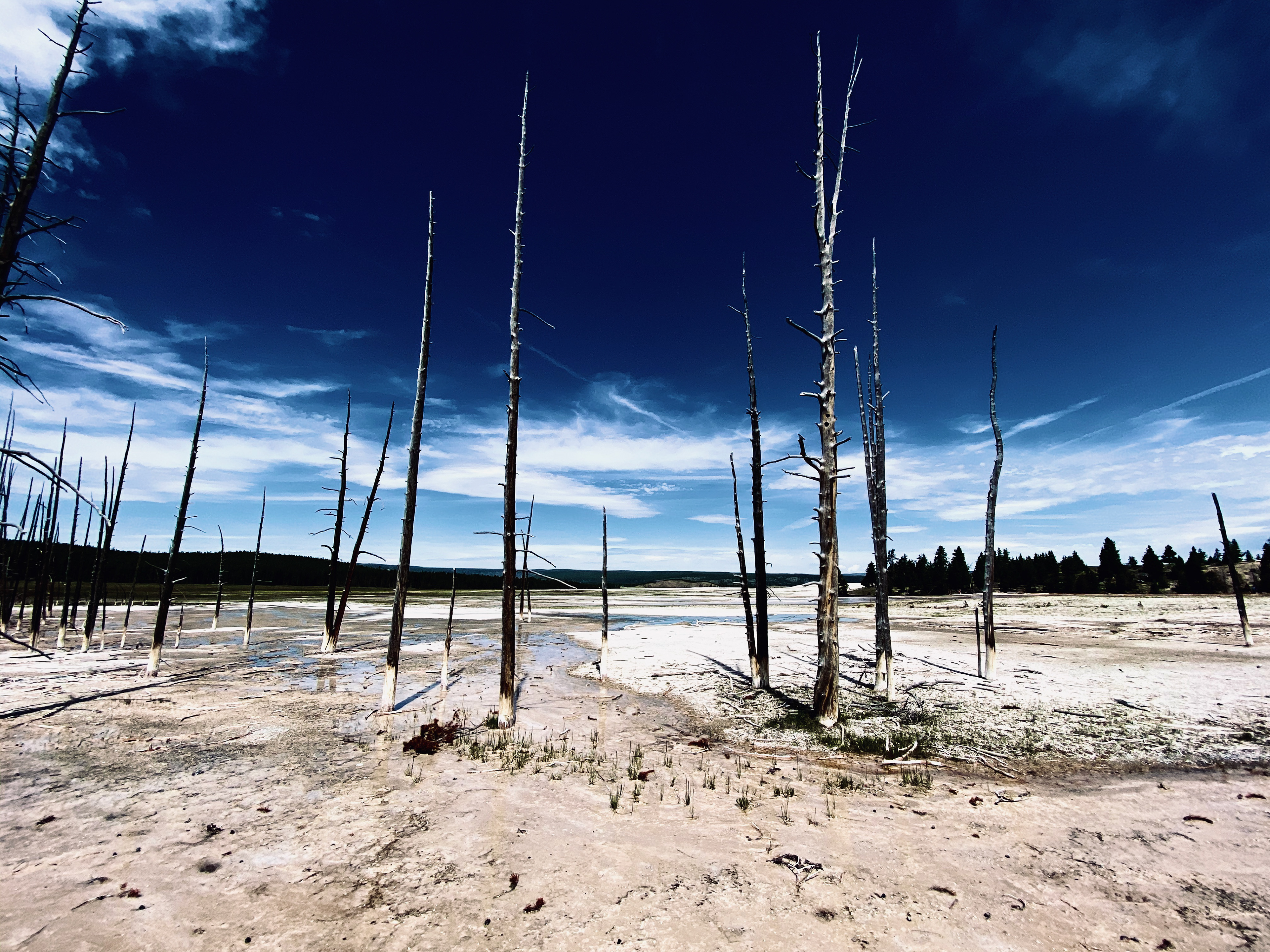 yellowstone national park