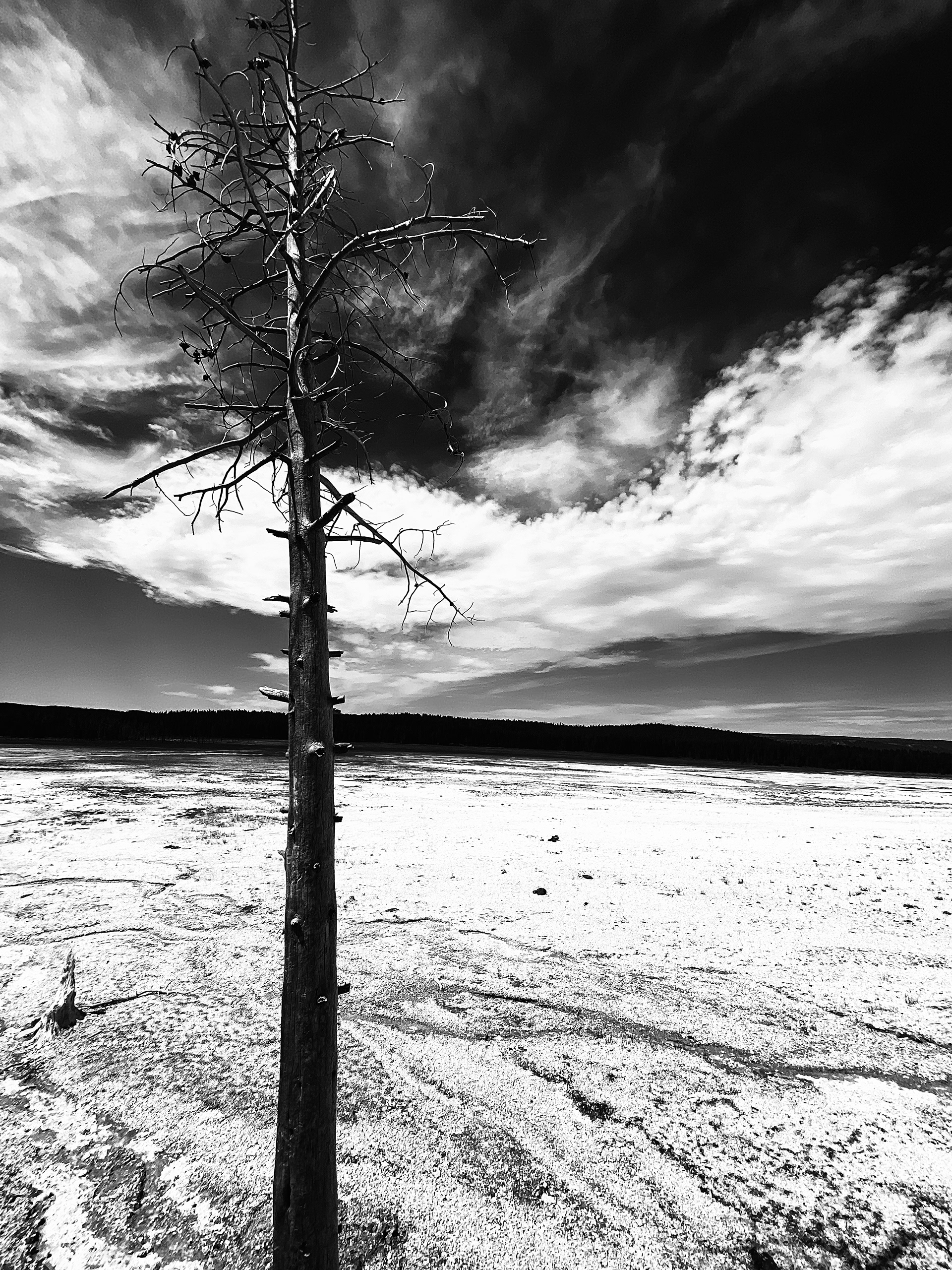 yellowstone national park