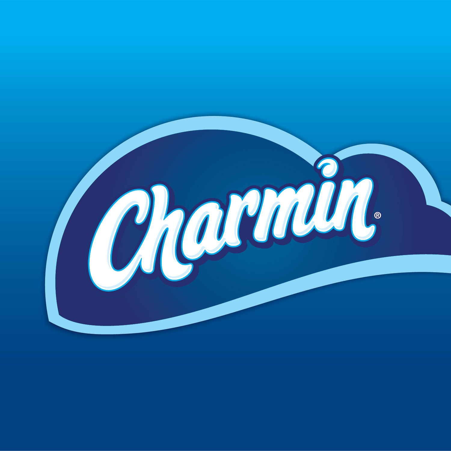 3 YEARS WORKING ON CHARMIN WITHIN THE P&G FAMILY CARE TEAM AT INTERBRAND