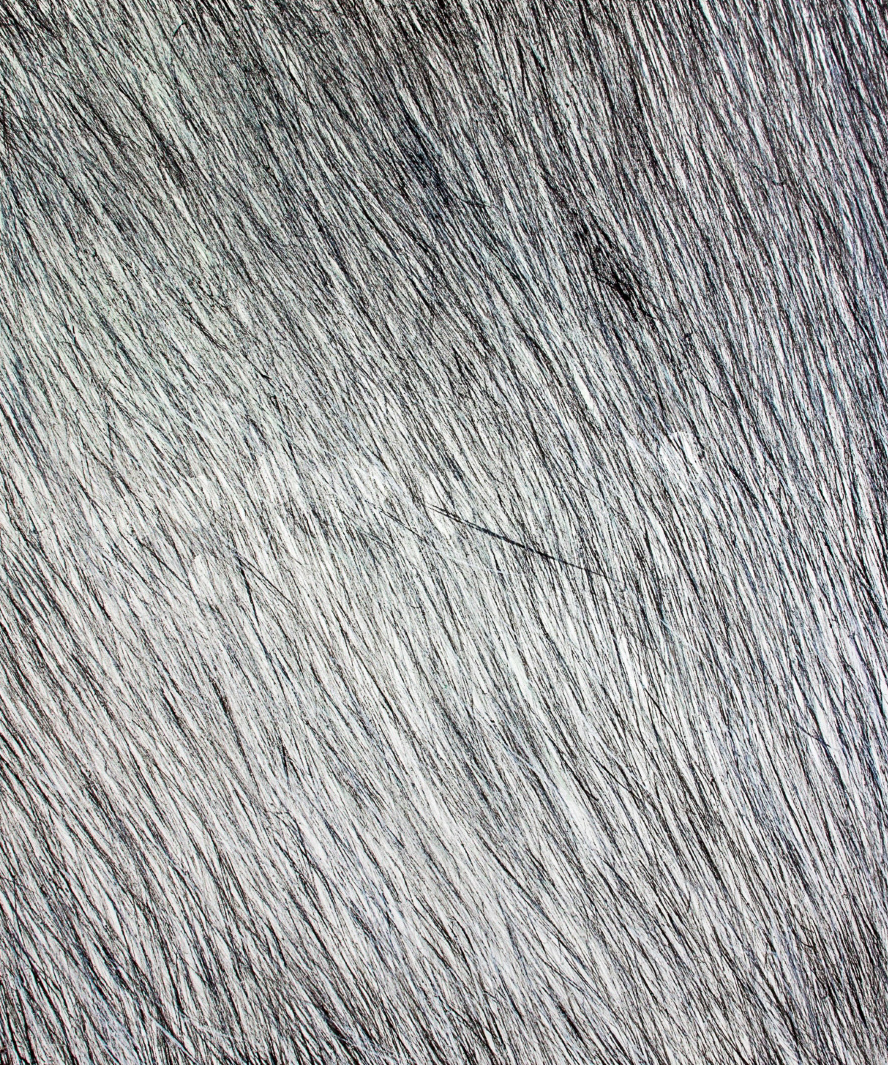 acryl auf leinwand 180 x 150 cm