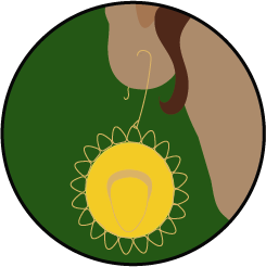 Sombrero