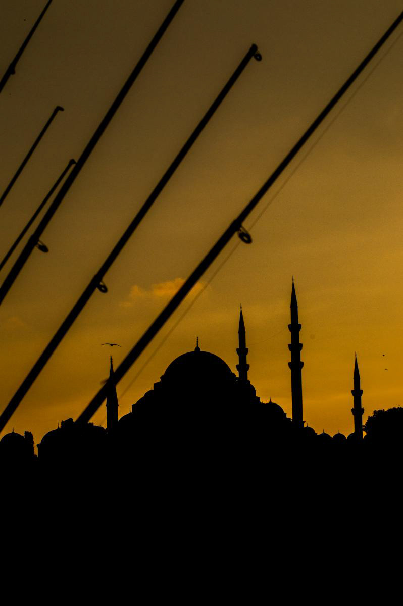 Golden Silhouettes :: Istanbul, Turkey; 2015.