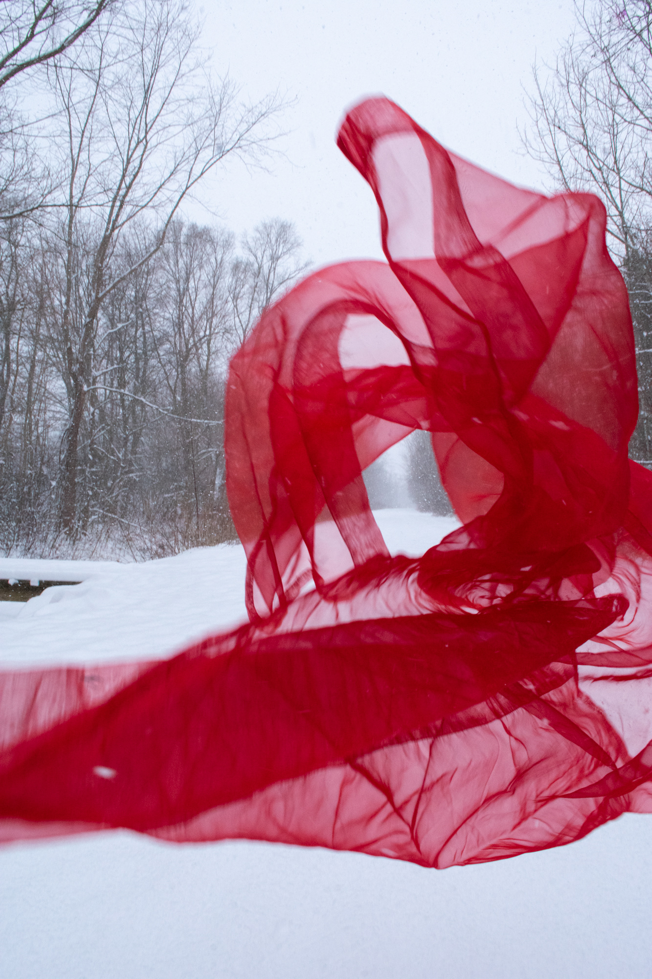 Red Fabric Tunnel :: Nova Scotia, Canada; 2020.