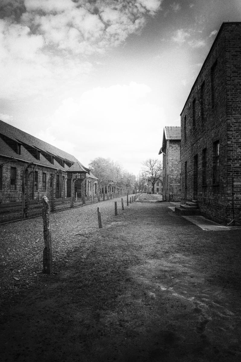 Auschwitz :: Auschwitz, Poland; 2017.