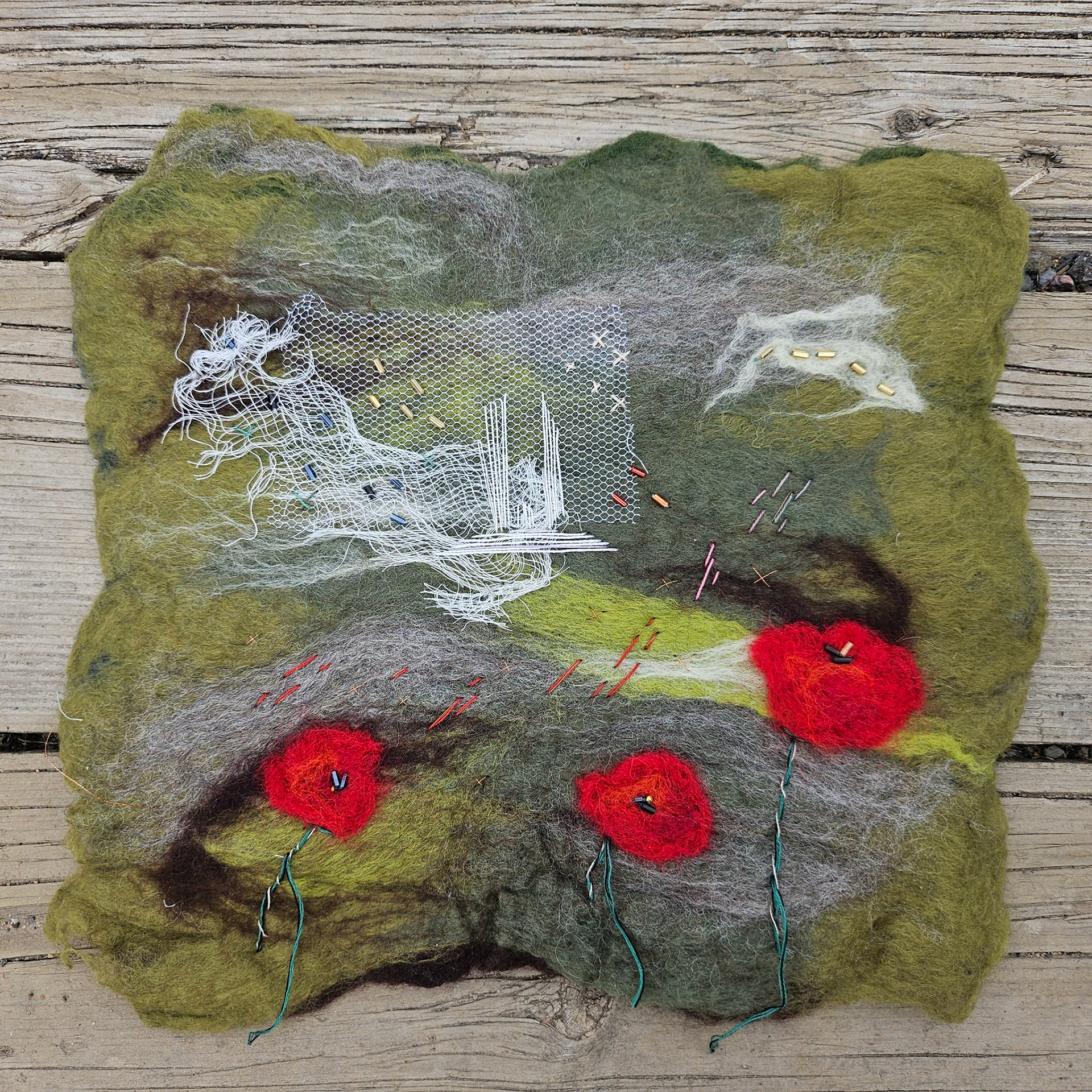 Poppies at Vimy Ridge :: 2025