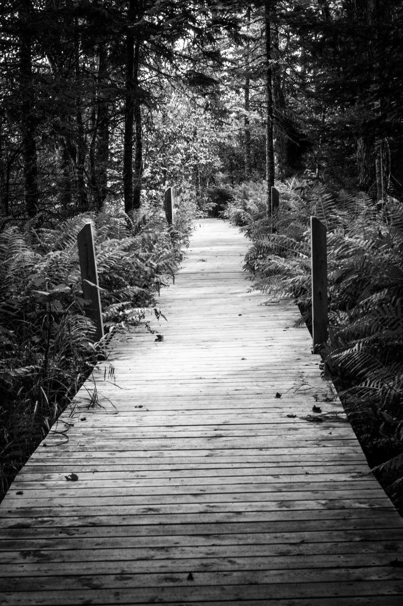 Ross Farm Boardwalk :: Ross Farm Museum, Nova Scotia, Canada; 2016.