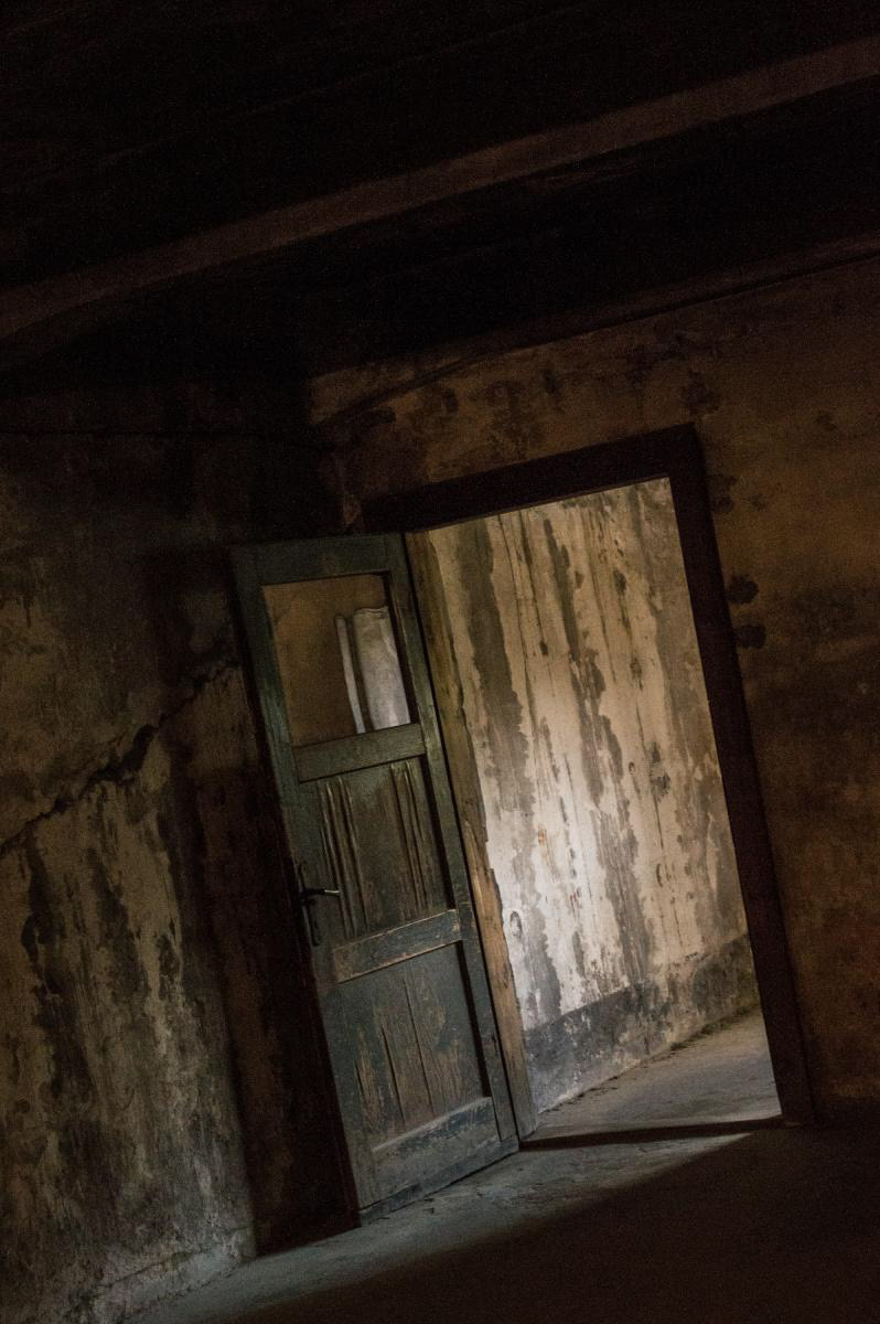 Gas Chamber :: Auschwitz, Poland; 2017.