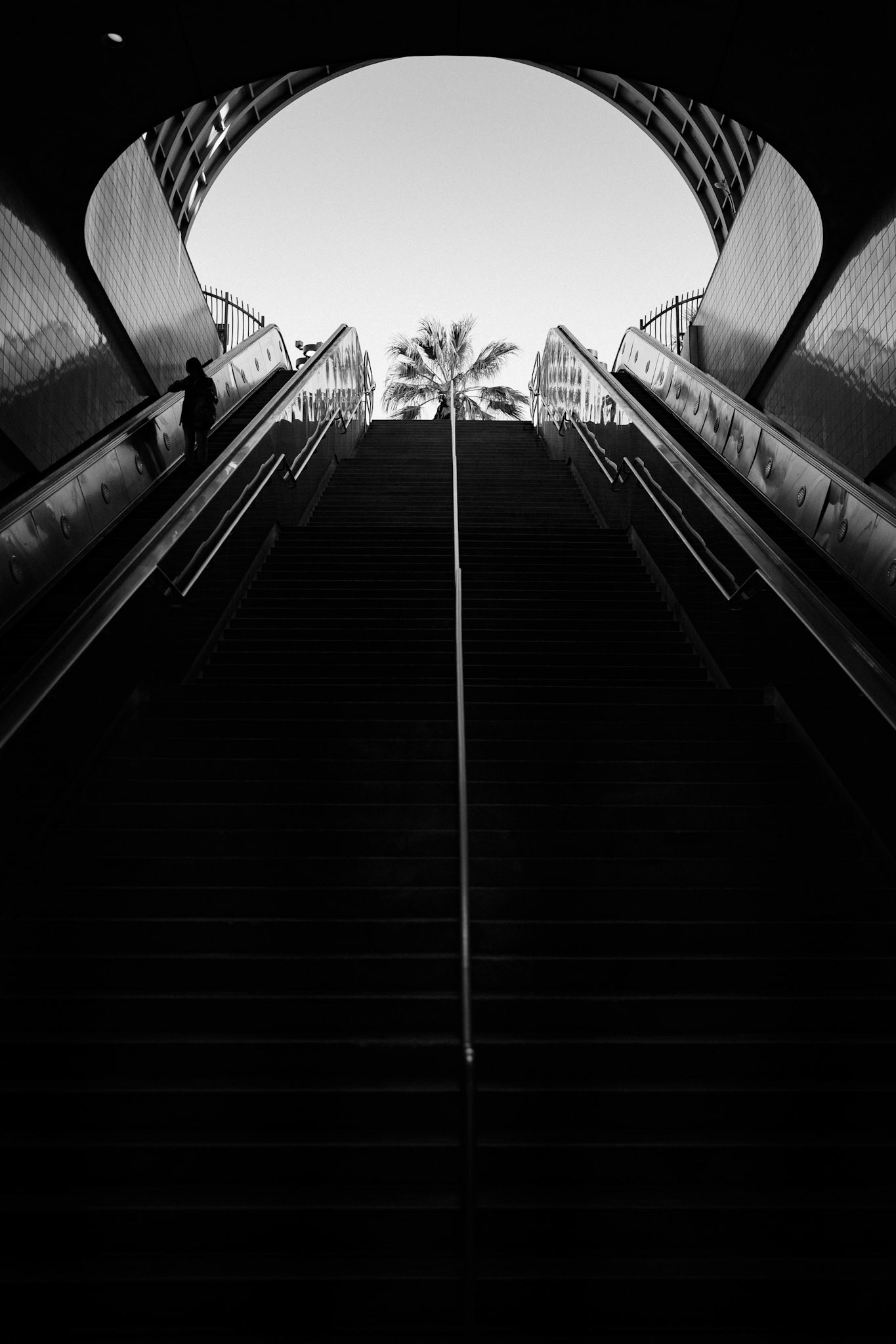 The Ascent · 2024
