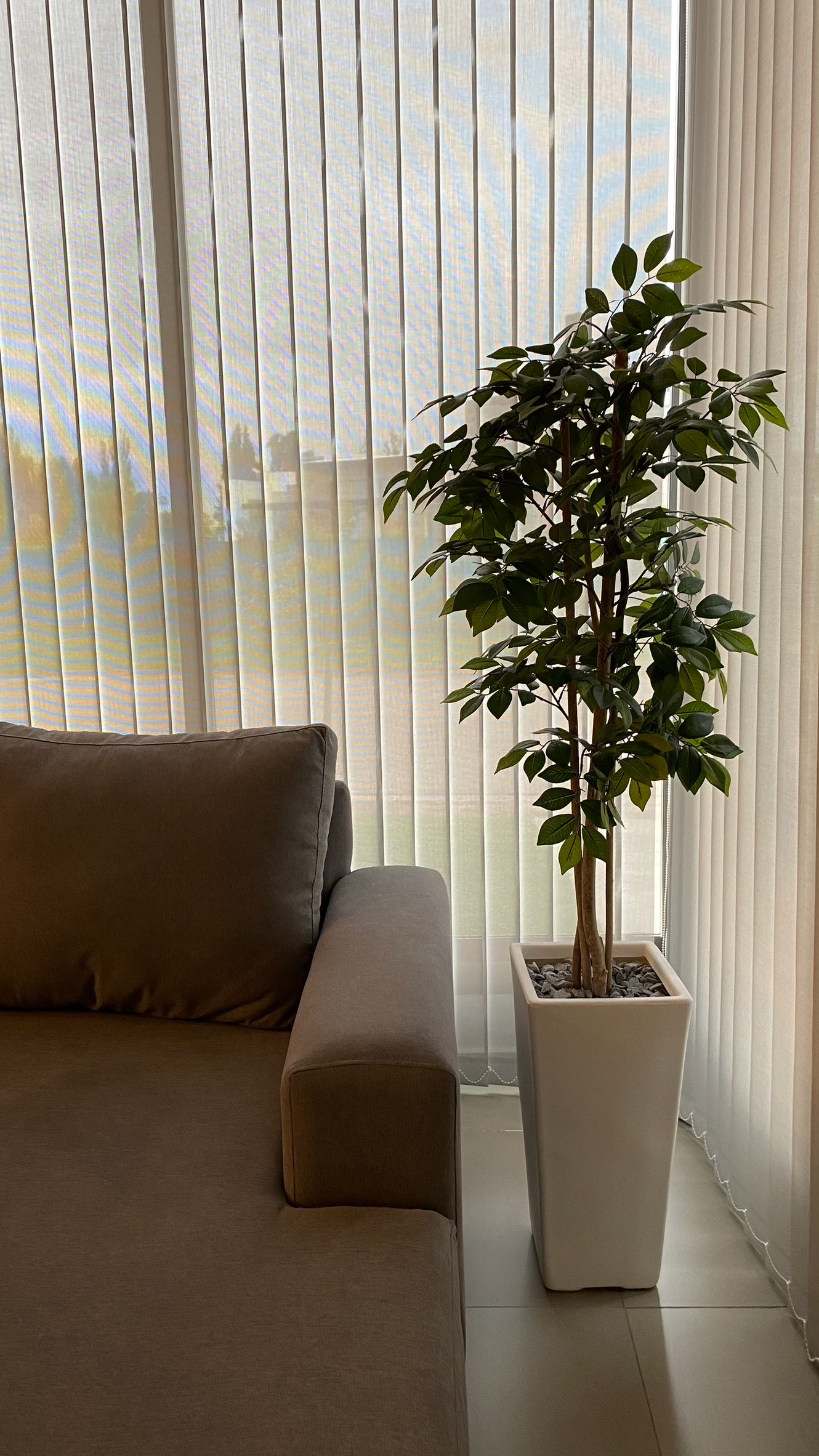 FOTOGRAFIA | VIVIENDA CH | AÑO 2023