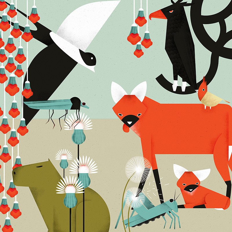 Front windows of the Natural Science Museum