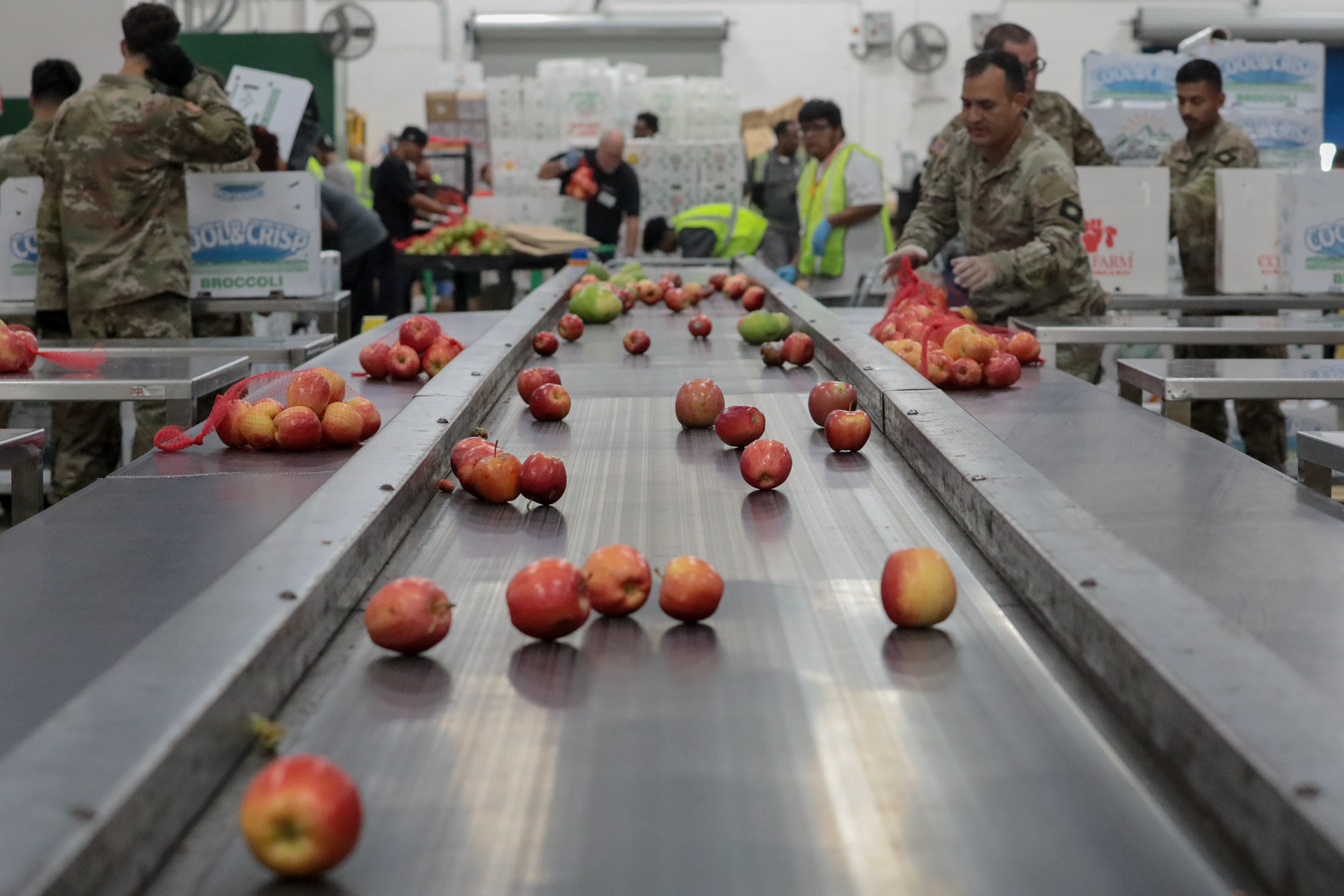  National Guard members, deployed by Gov. Gavin Newsom, work alongside volunteers at the Los Angeles Regional Food Bank in response to rising demand linked to the federal government shutdown and possible SNAP benefit delays. On assignment for Anadolu Agency. Los Angeles, California. 2025