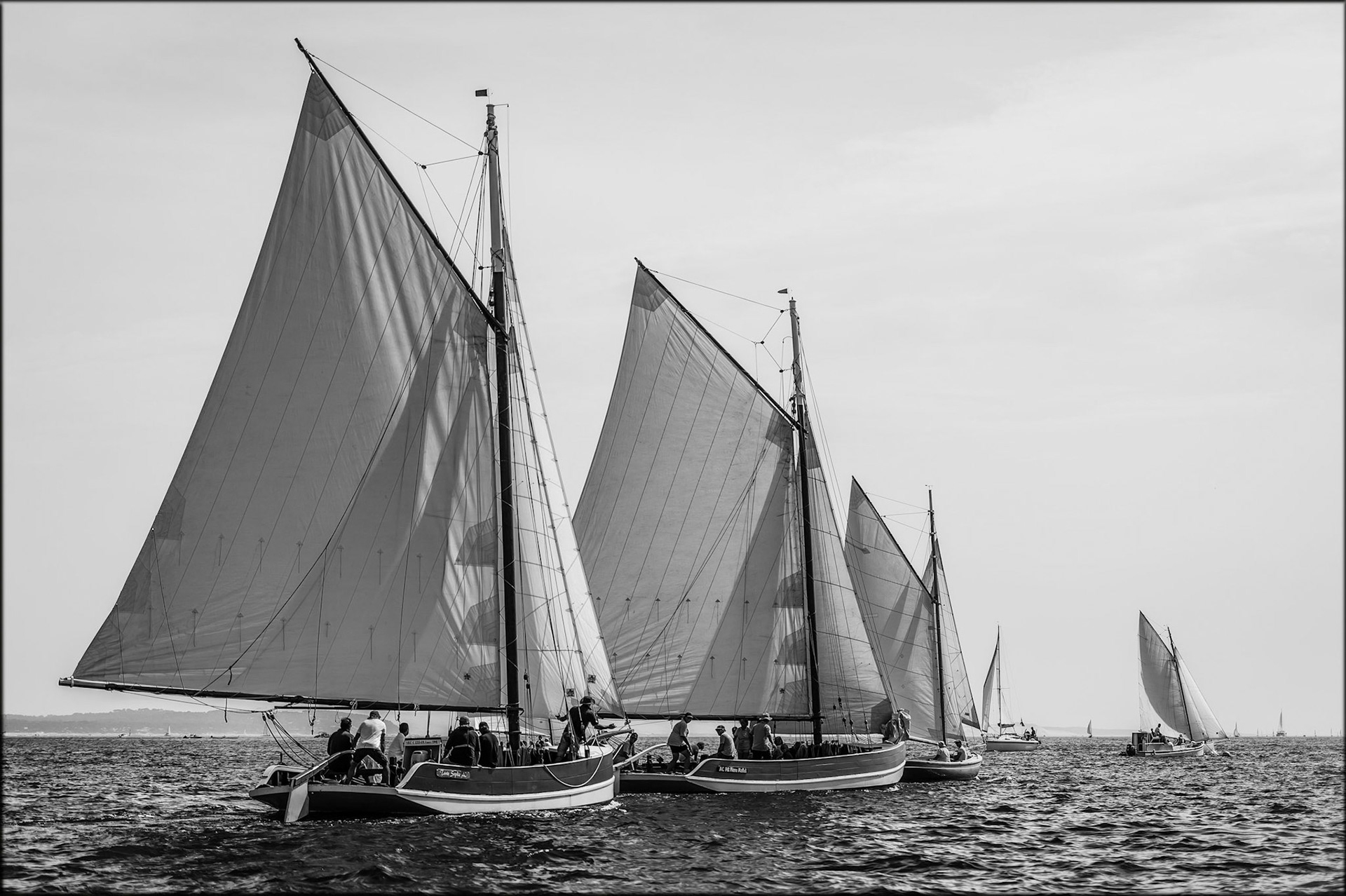 Bacs à voile, régate de l'Herbe.