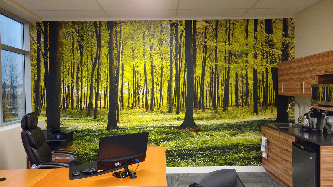 Scenic Wallpaper Application by Robert Ireland Studios