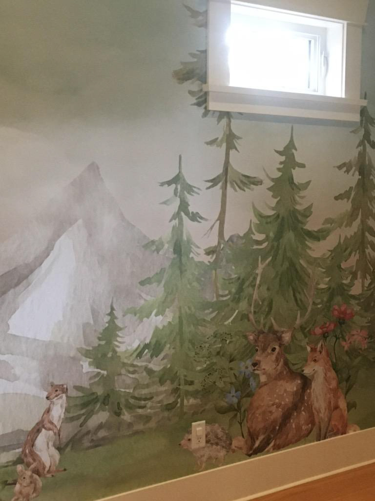 Childrens Printed Mural Application by Robert Ireland Studios