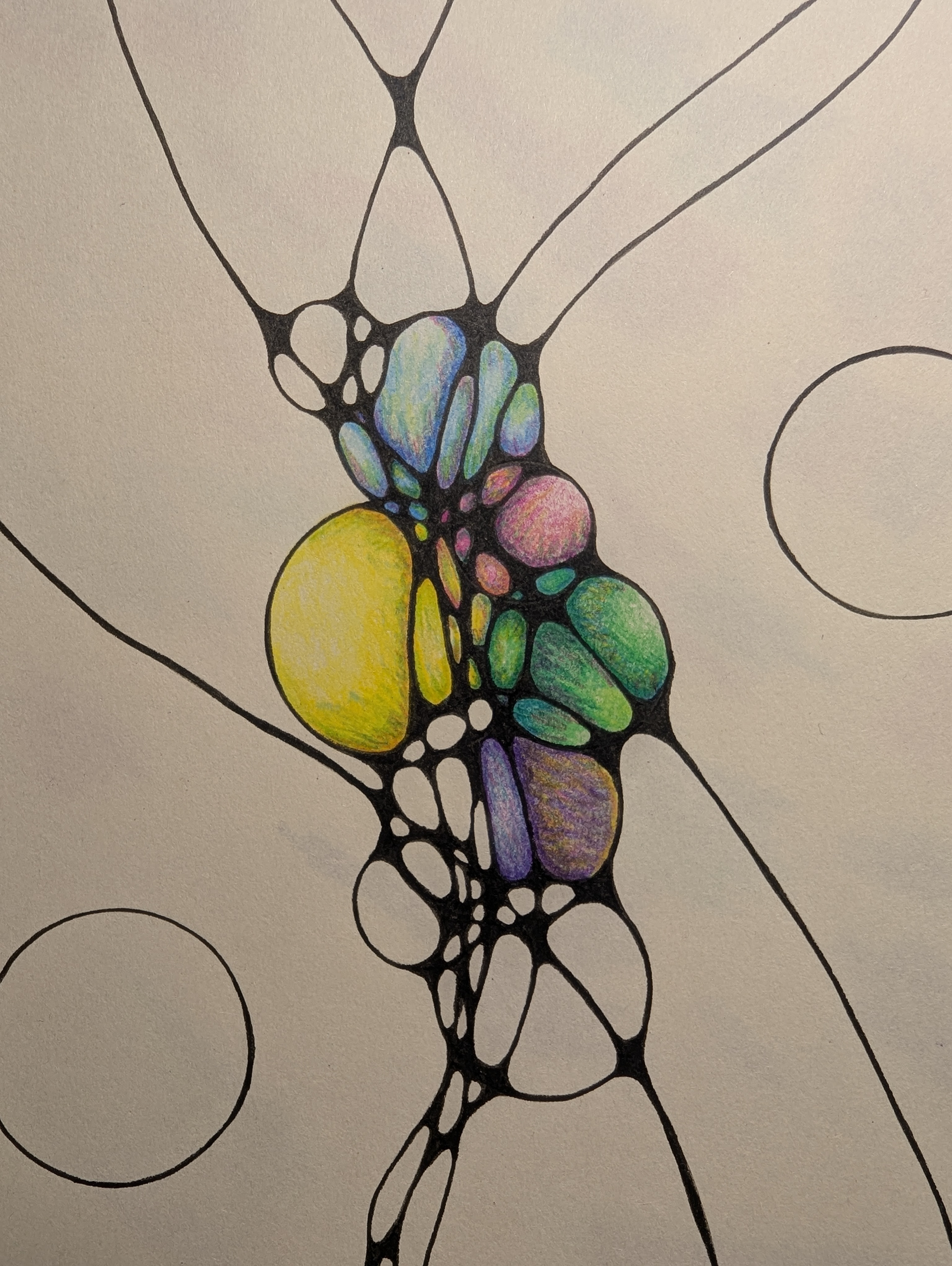 Dichotomy, Pencil crayon