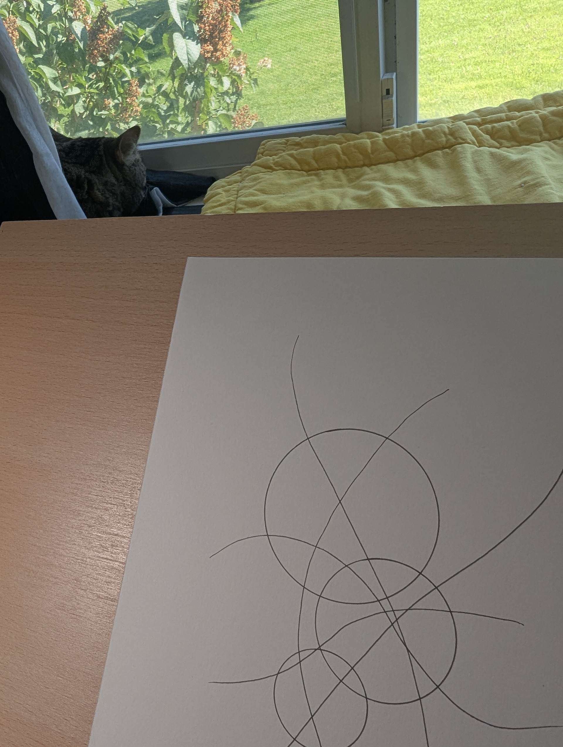 Sun Spot WIP 1