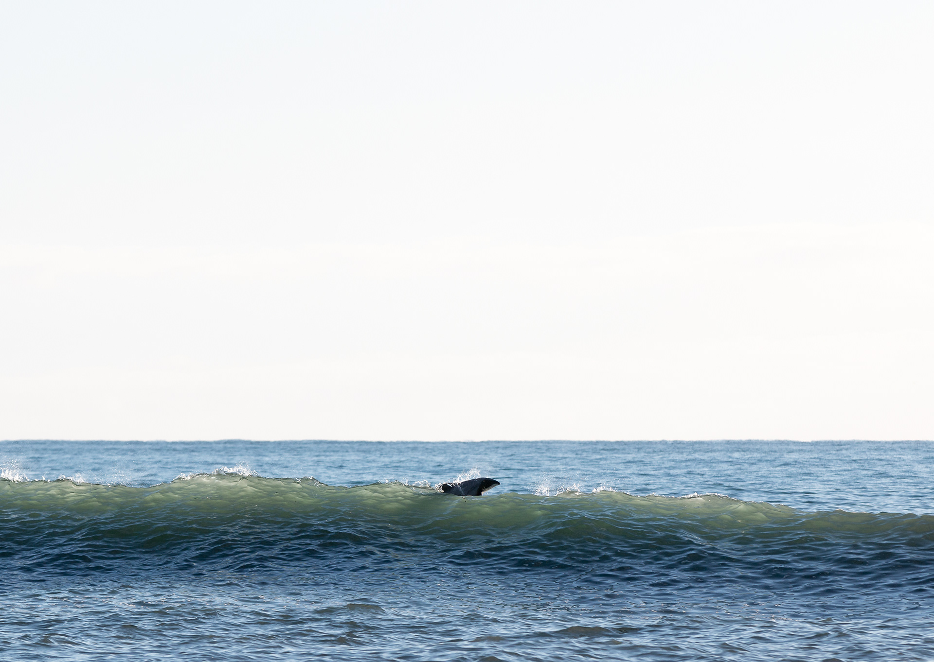 © Darren Creighton Photography | West Coast NZ