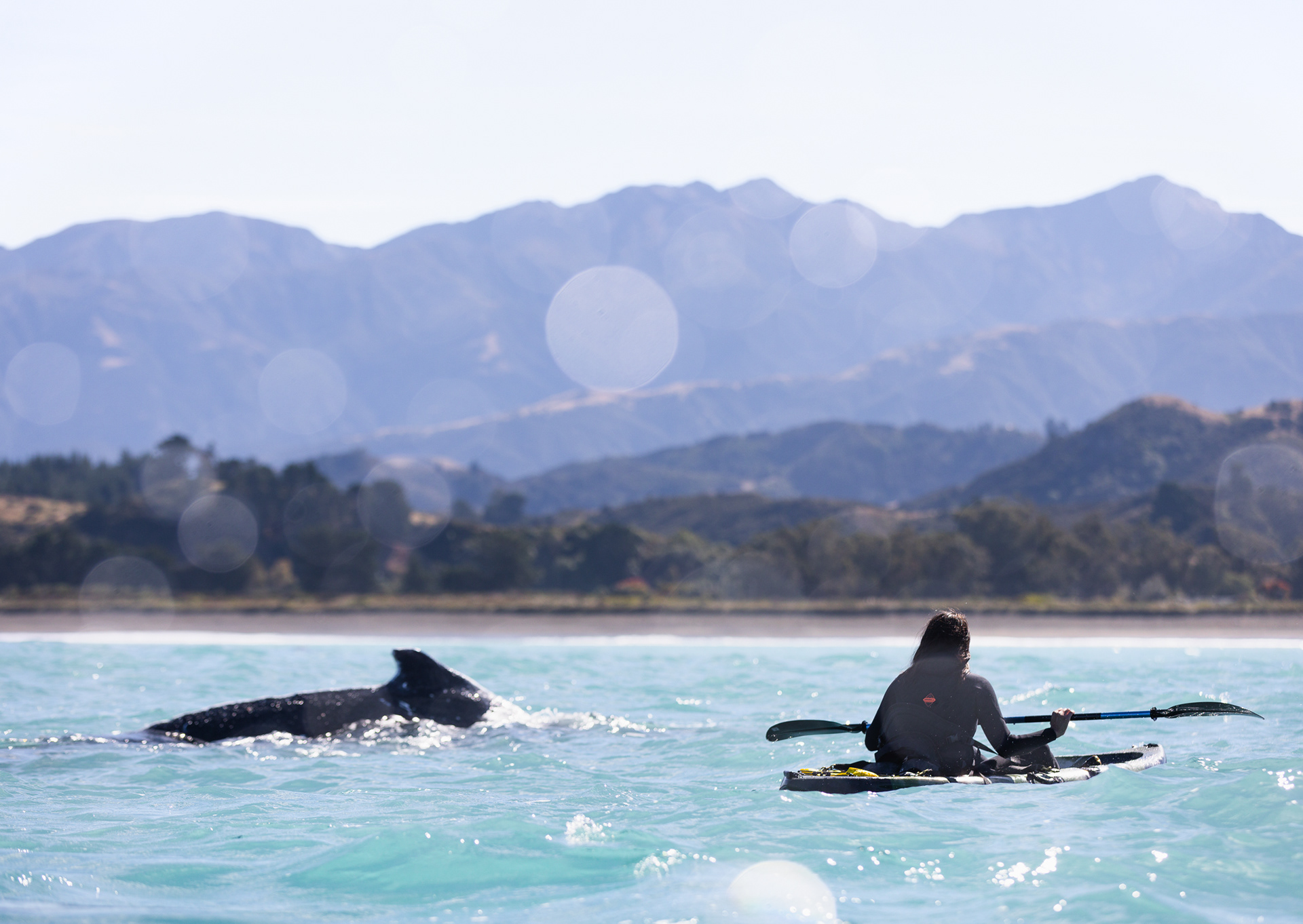 © Darren Creighton Photography | Kaikoura