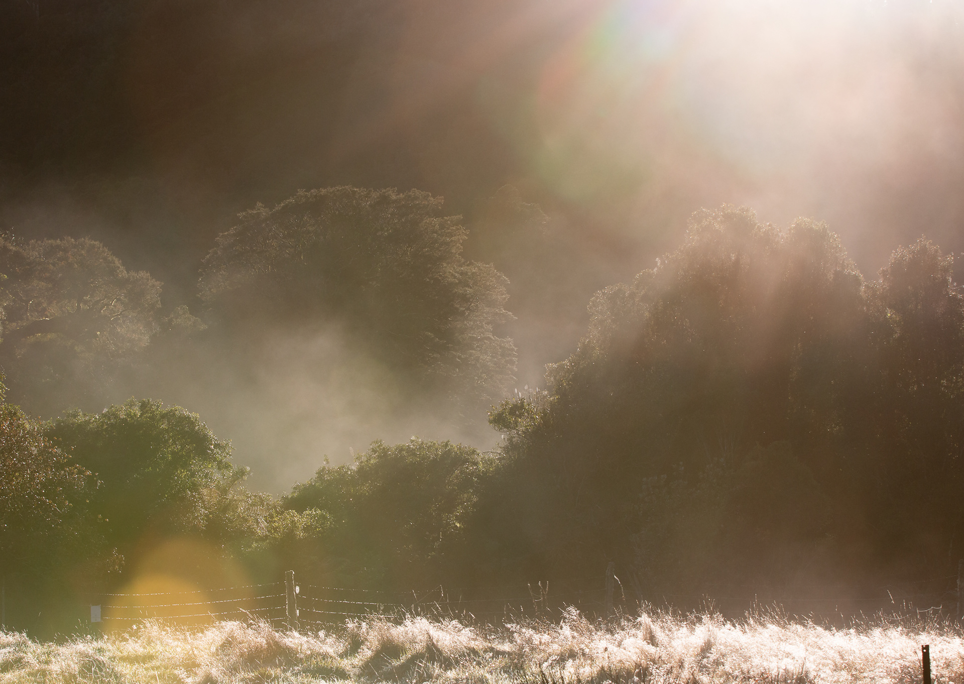 © Darren Creighton Photography | West Coast NZ