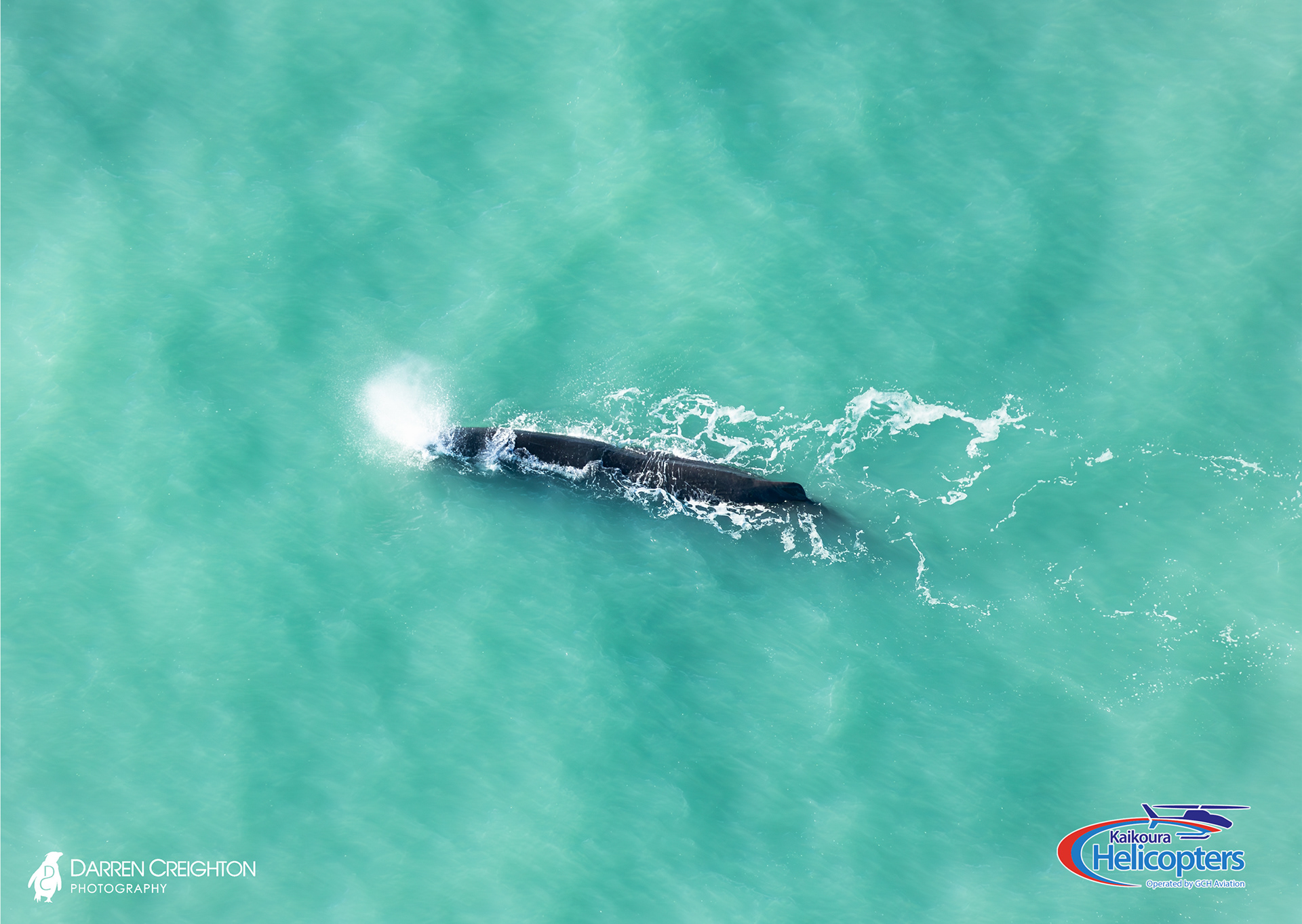 © Darren Creighton Photography  |  Kaikoura Helicopters