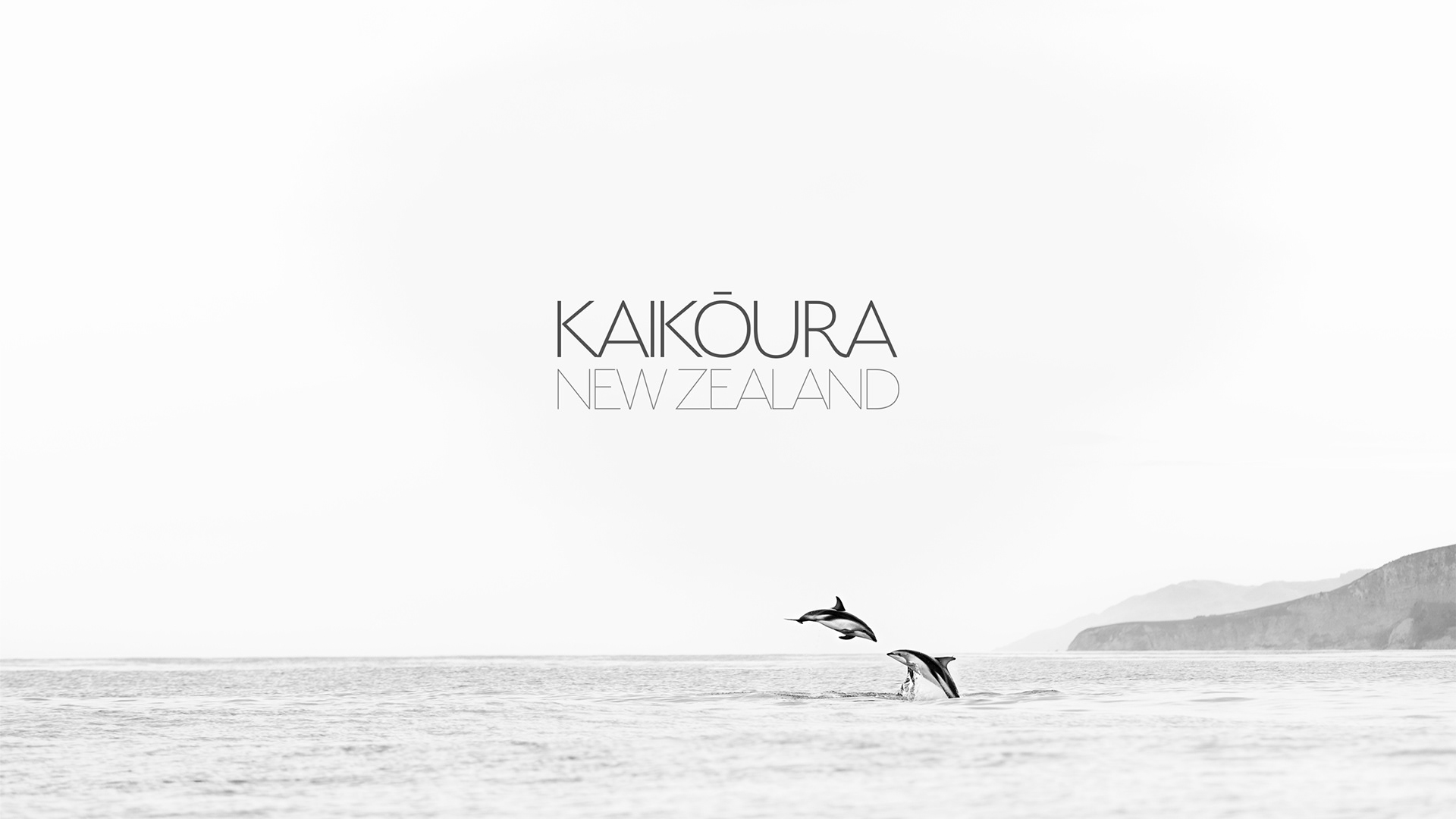 © Darren Creighton Photography | Kaikoura