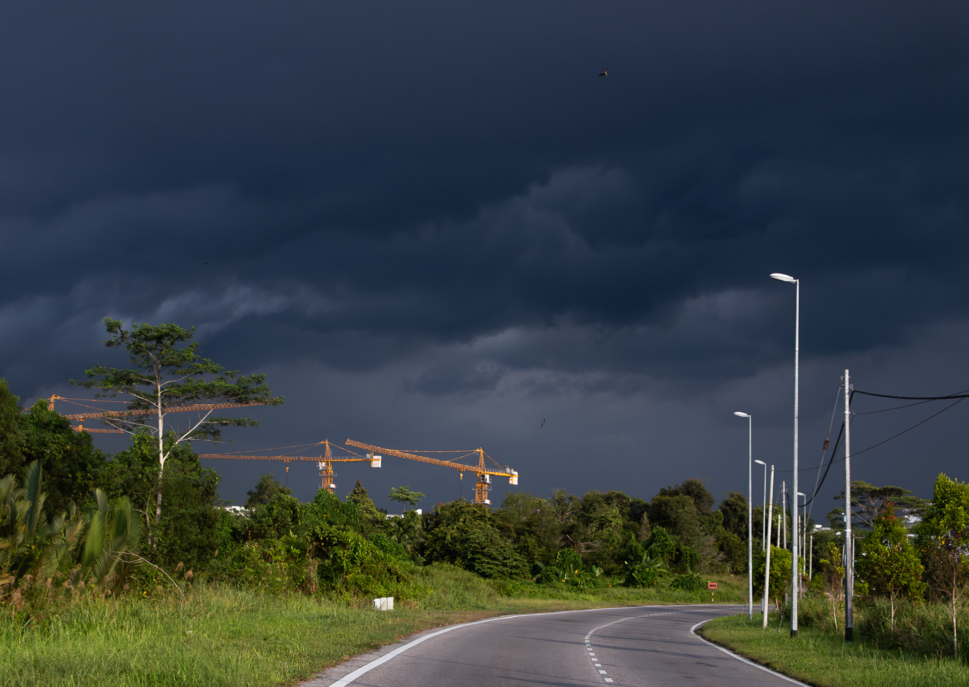 © Darren Creighton Photography  |  Malaysia