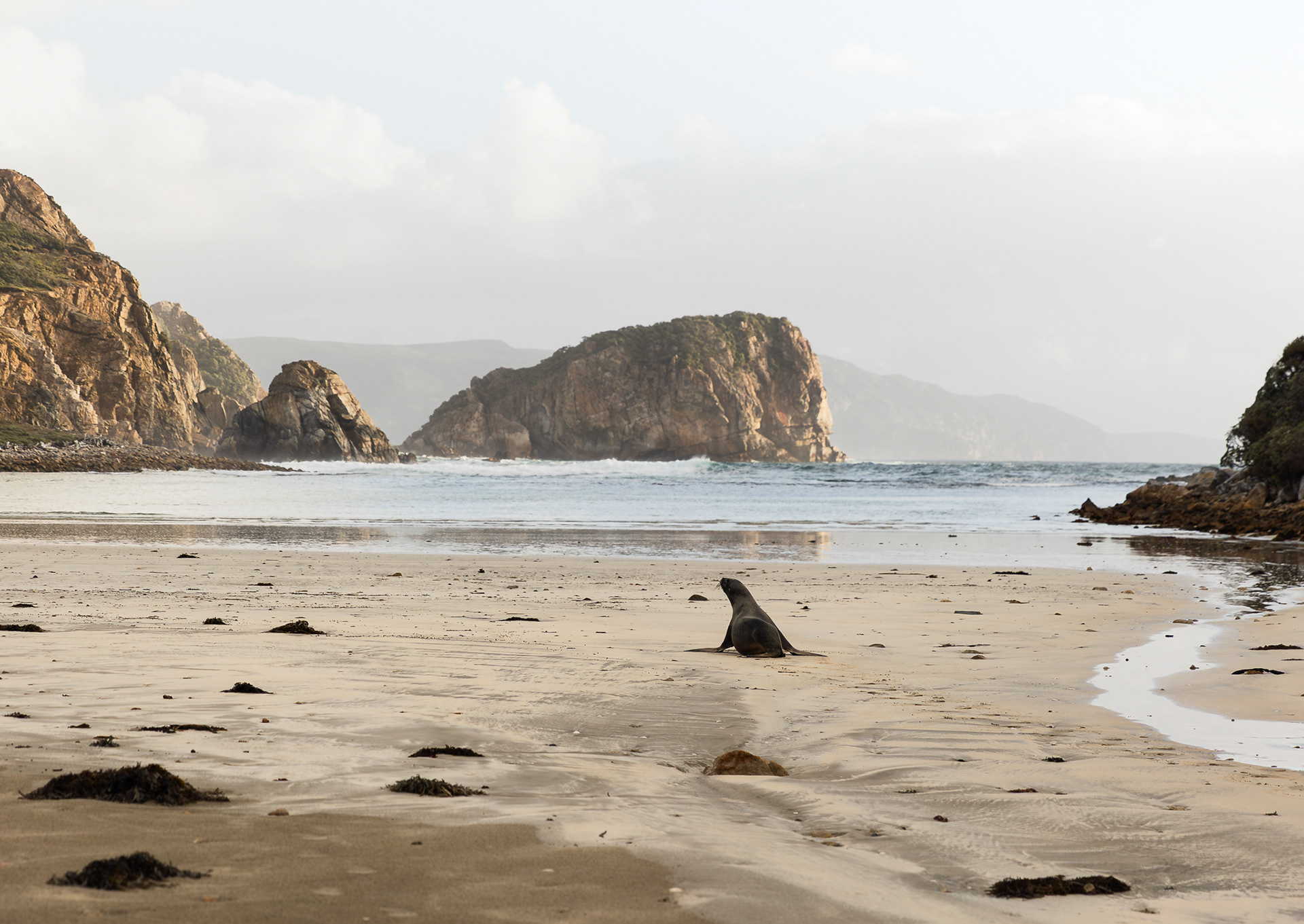 © Darren Creighton Photography  |  Rakiura  |  The Gutter