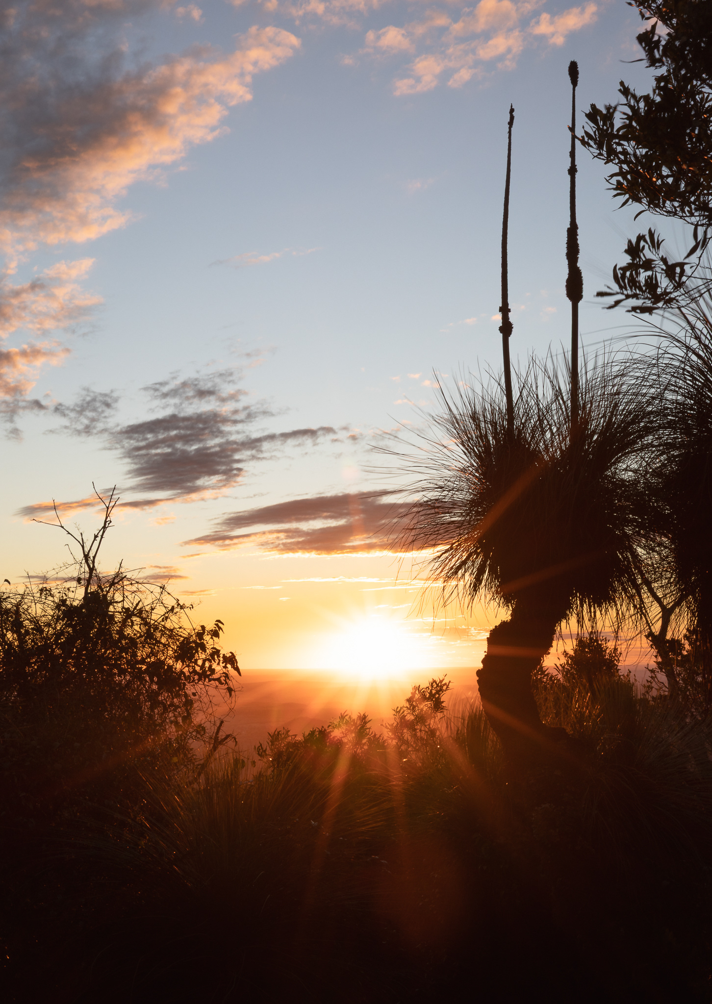 © Darren Creighton Photography  |  Bunya Mountains