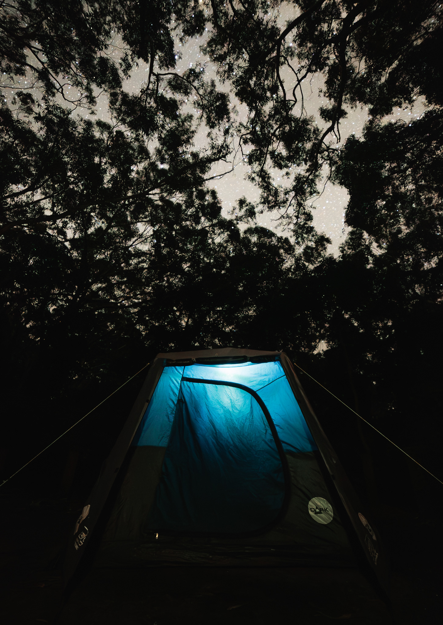 © Darren Creighton Photography | Seal Rocks camping