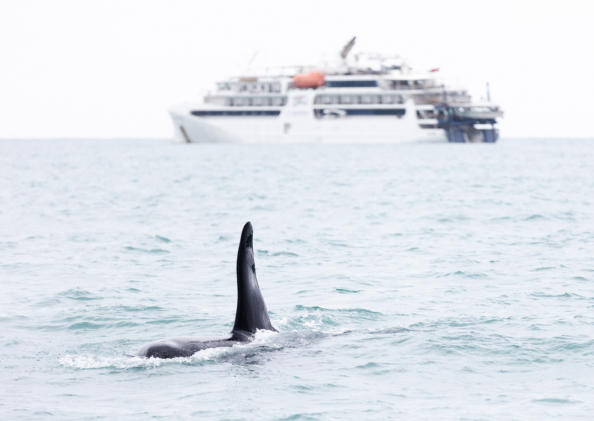 © Darren Creighton Photography | Kaikoura