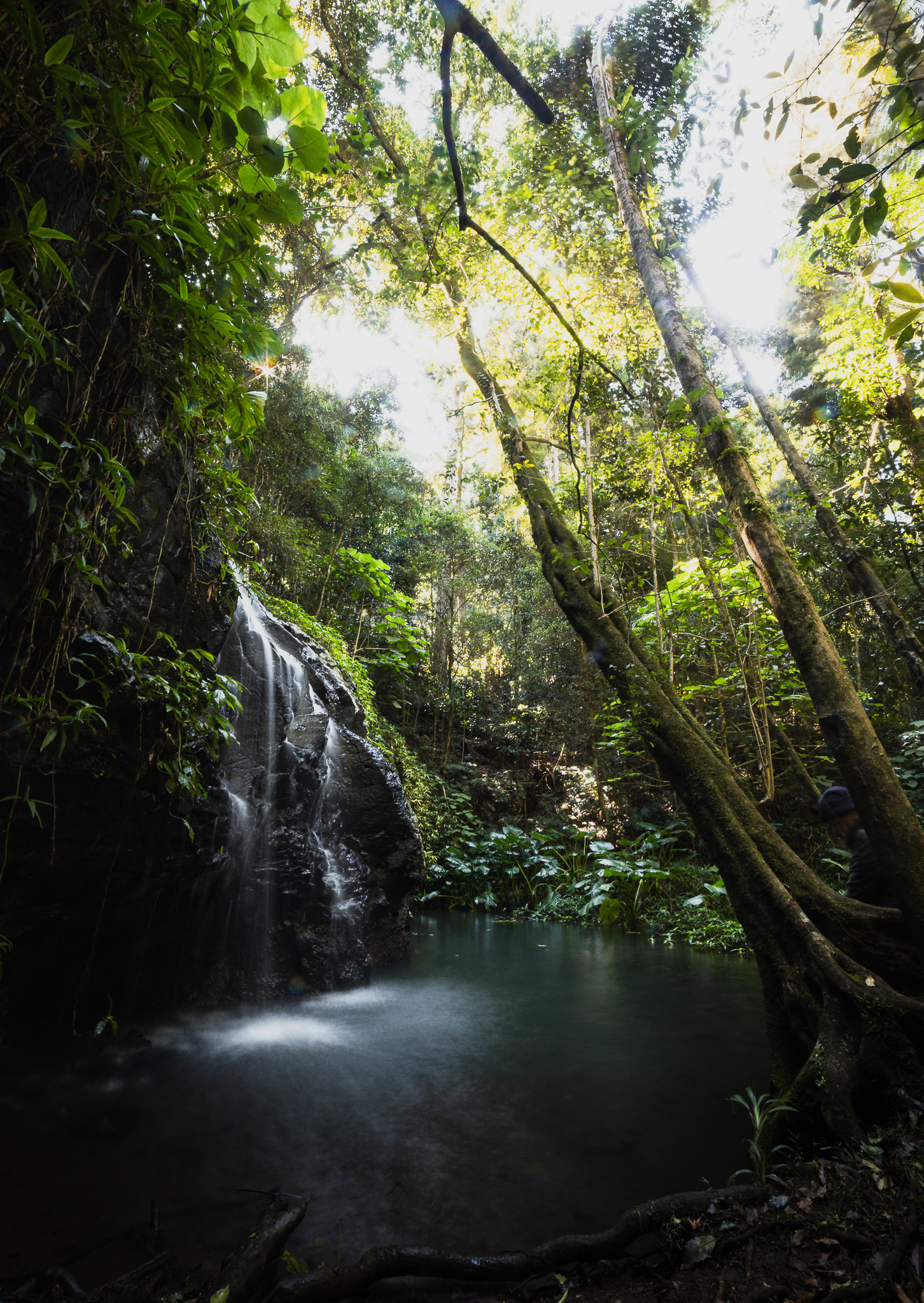© Darren Creighton Photography | Bunya Mountains
