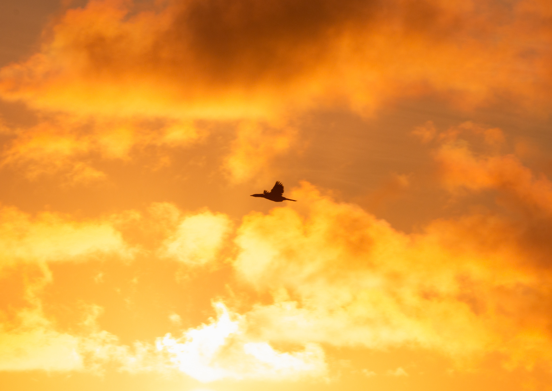 © Darren Creighton Photography  |  West Coast NZ