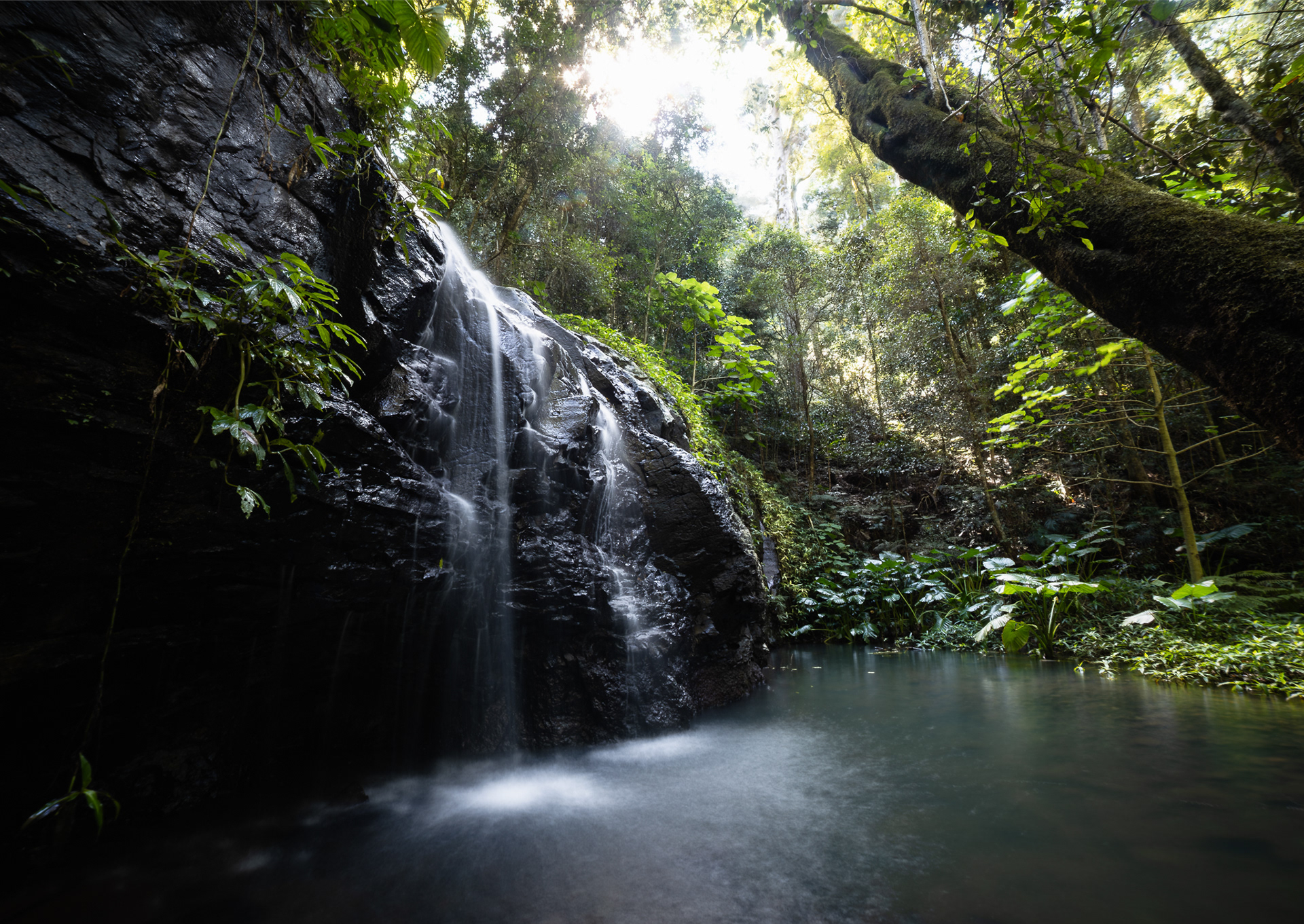 © Darren Creighton Photography | Bunya Mountains