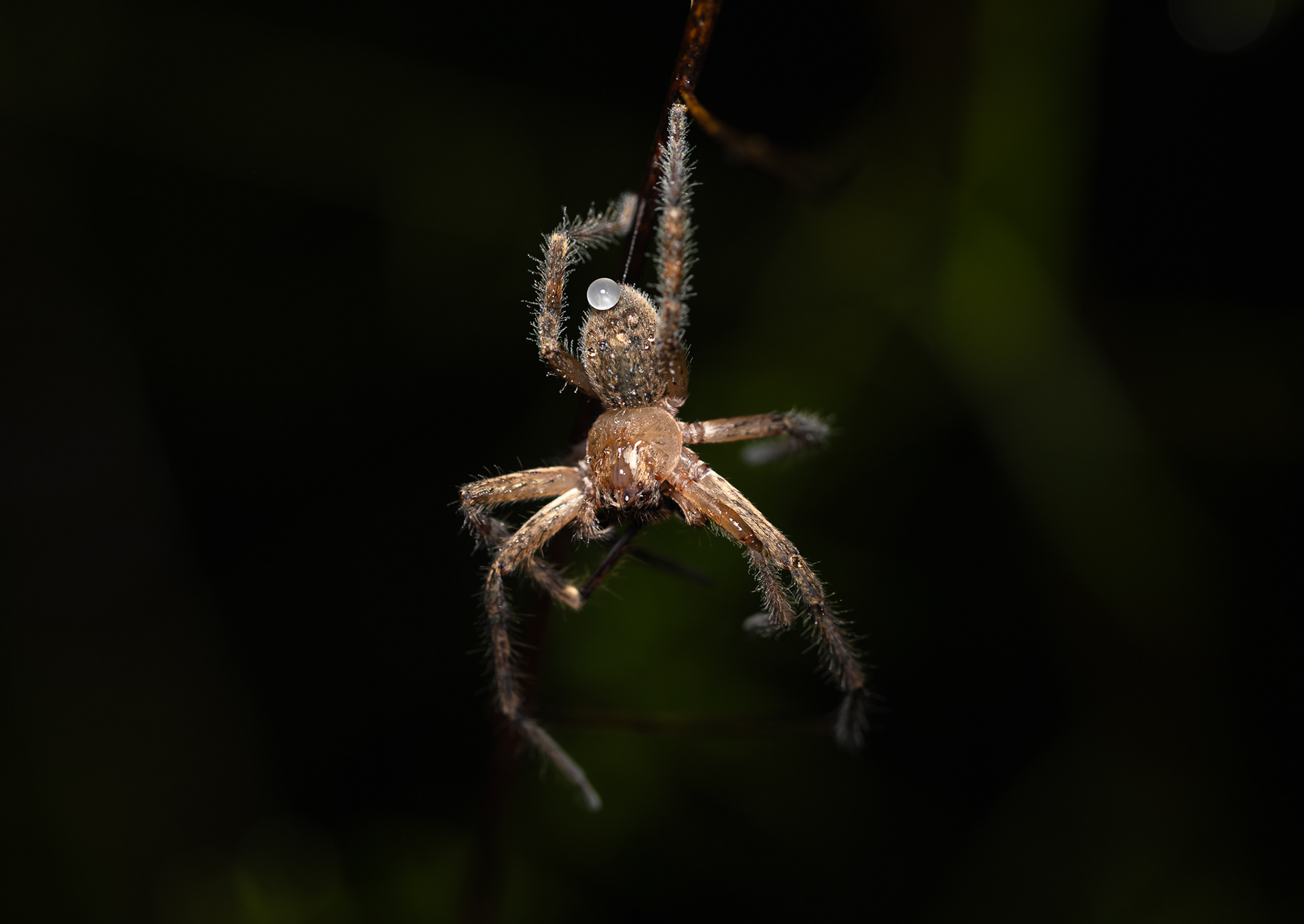 © Darren Creighton Photography | Frog Buttress