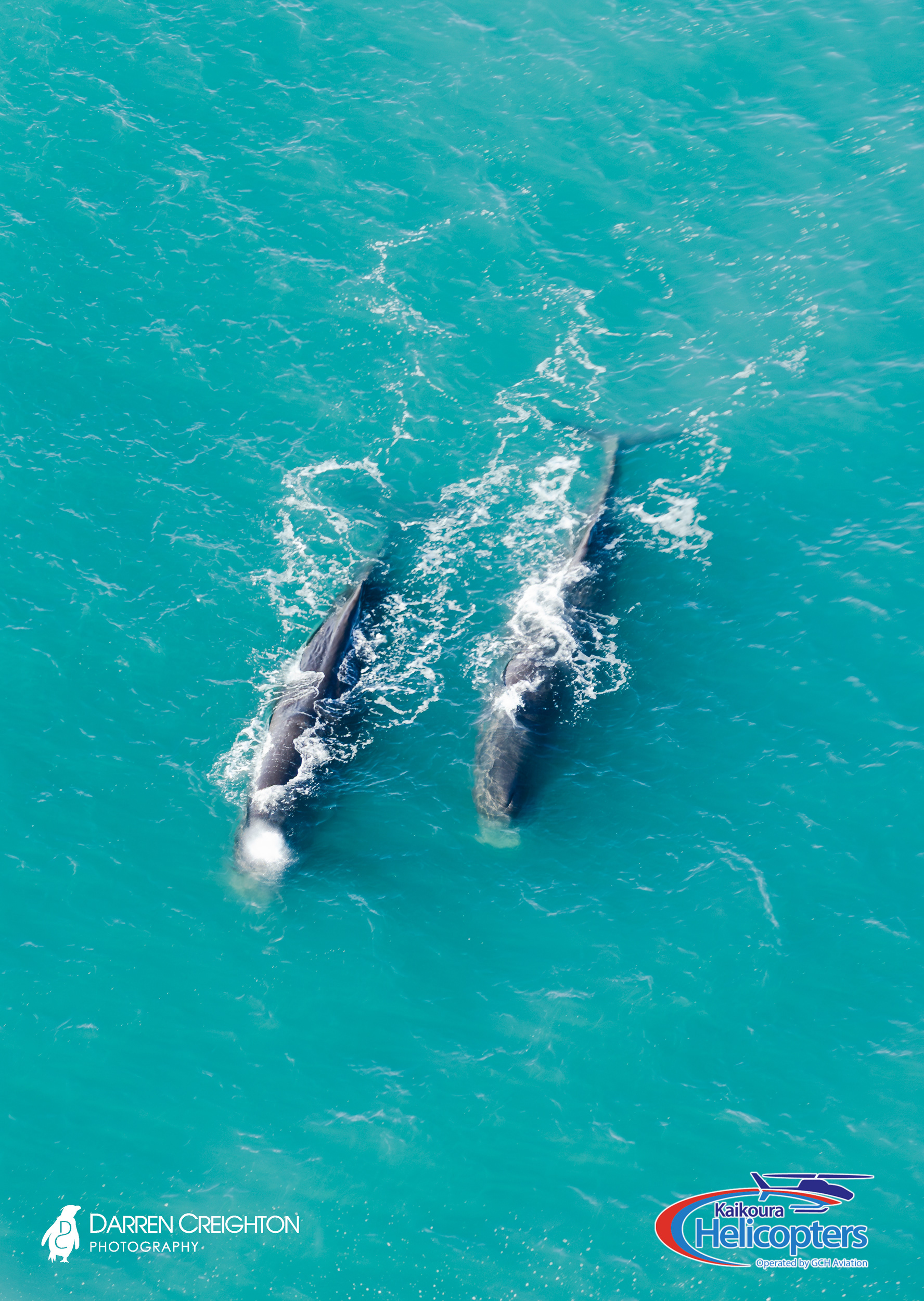 © Darren Creighton Photography  |  Kaikoura Helicopters