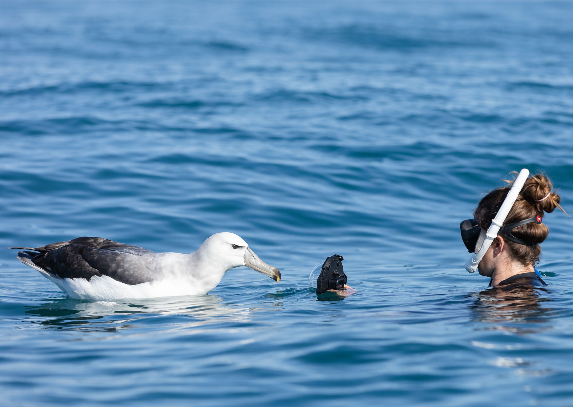 © Darren Creighton Photography | Kaikoura