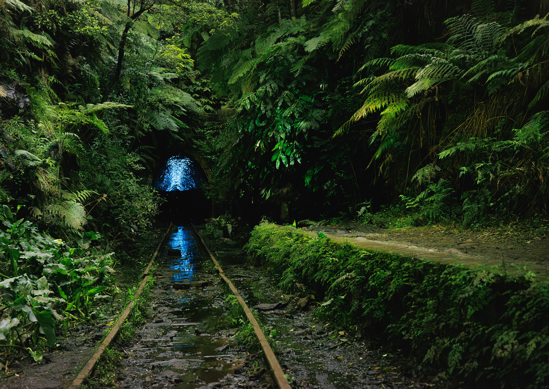 © Darren Creighton Photography  |  Helensburgh Glow Worm Tunnel