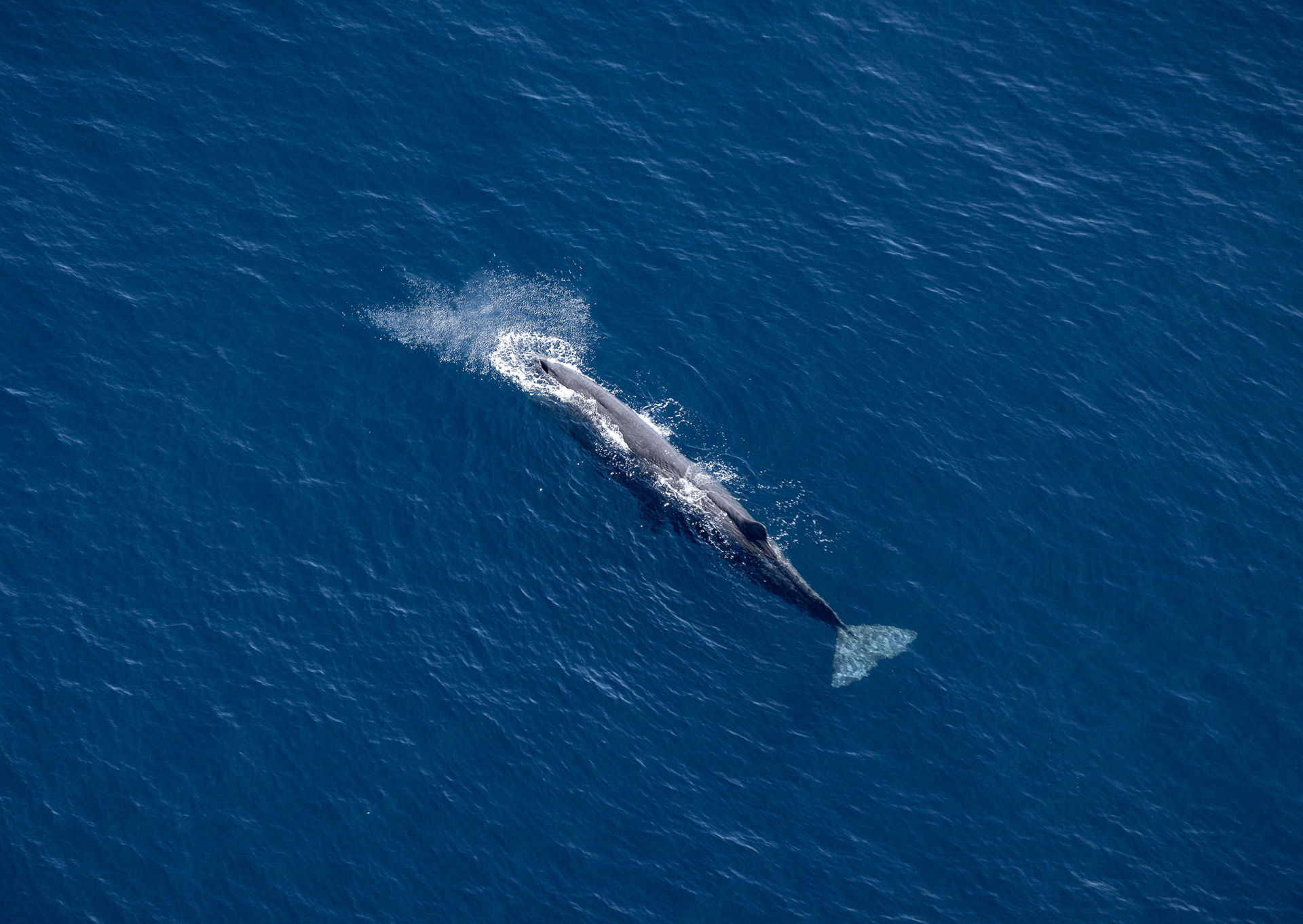© Darren Creighton Photography  |  Kaikoura