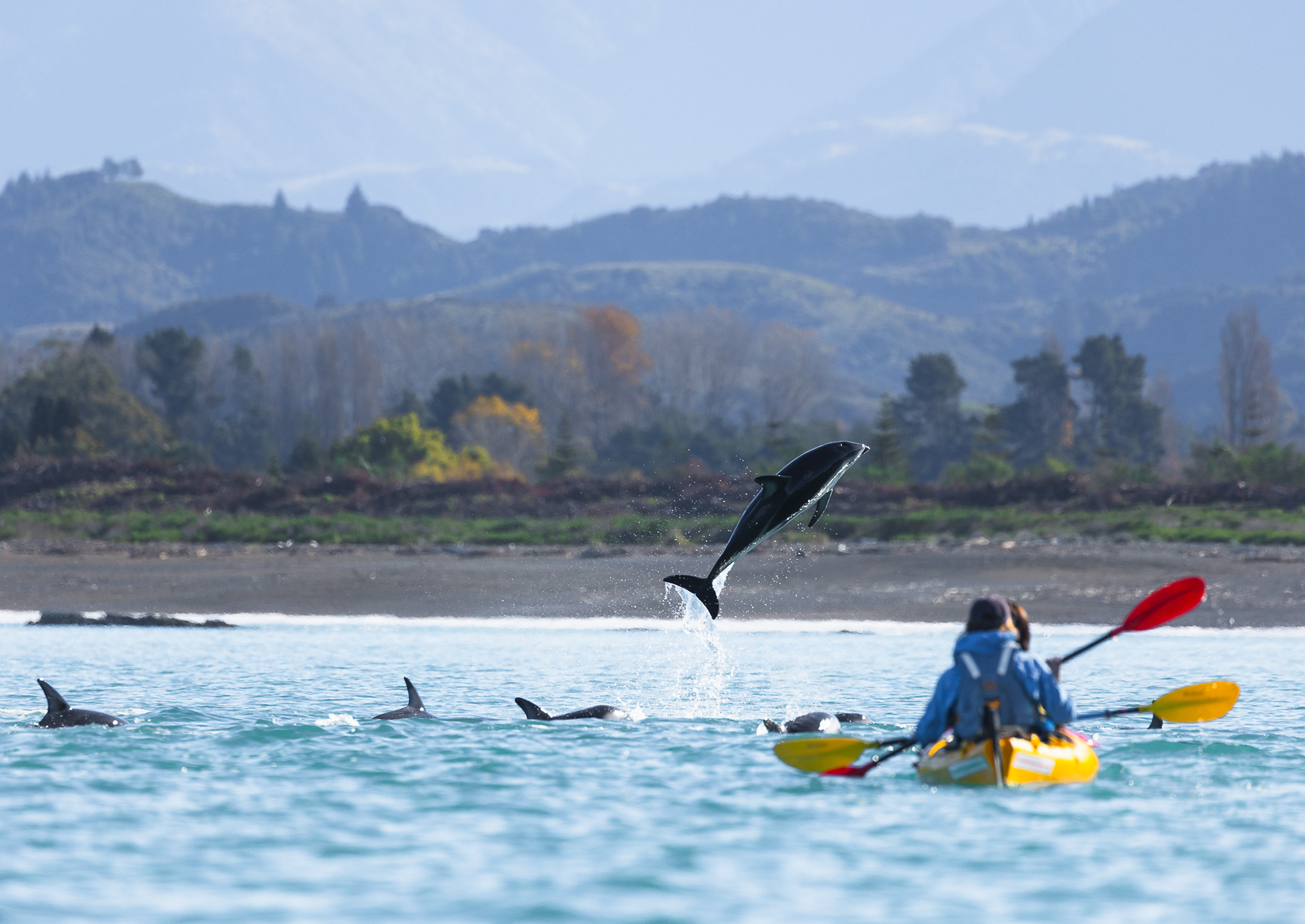 © Darren Creighton Photography  |  Kaikoura