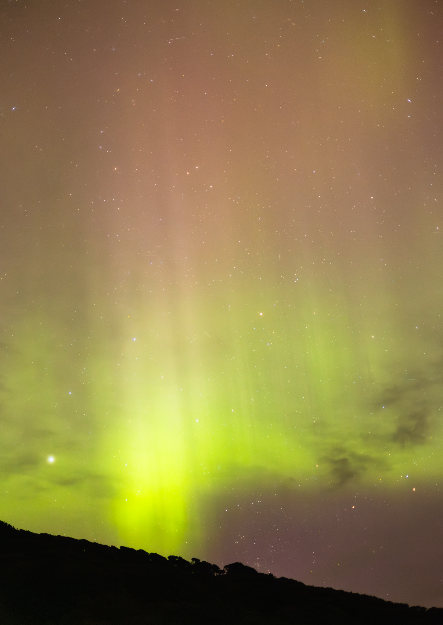 © Darren Creighton Photography  |  Rakiura Aurora
