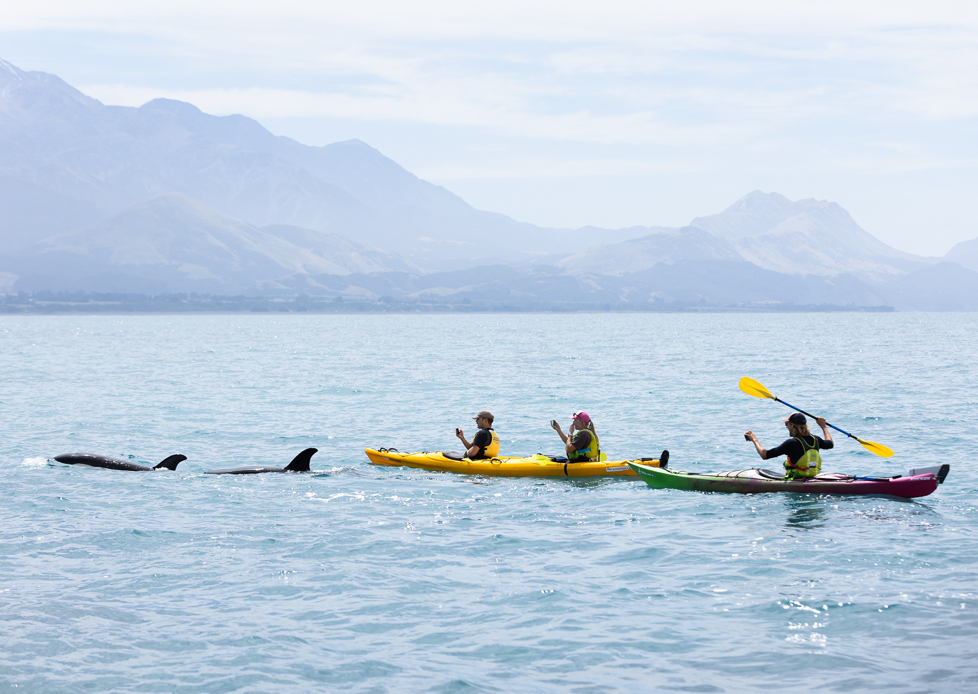 © Darren Creighton Photography  |  Kaikoura