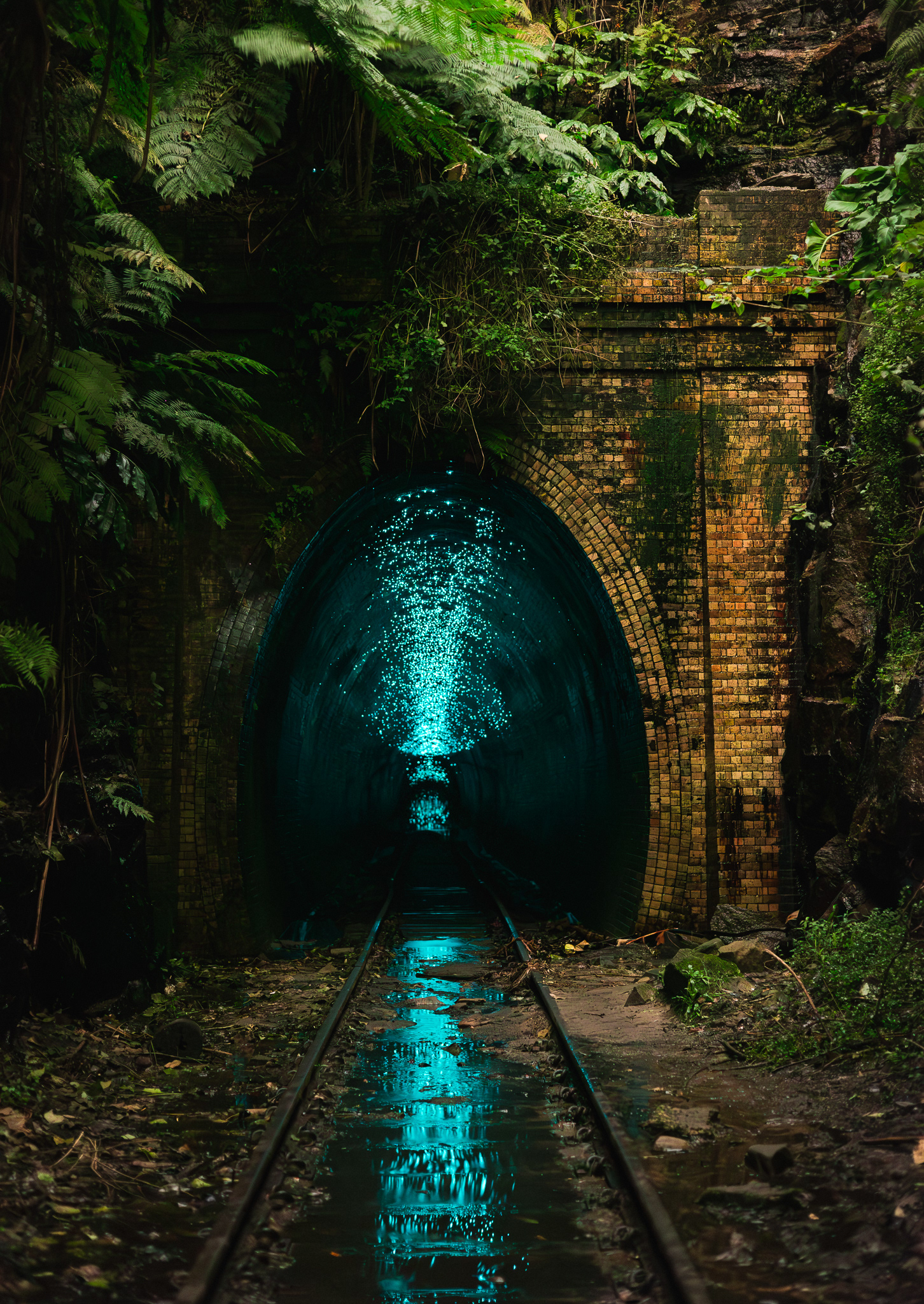 © Darren Creighton Photography | Helensburgh Glow Worm Tunnel
