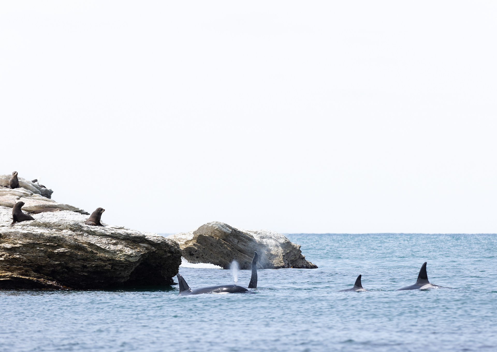 © Darren Creighton Photography | Kaikoura