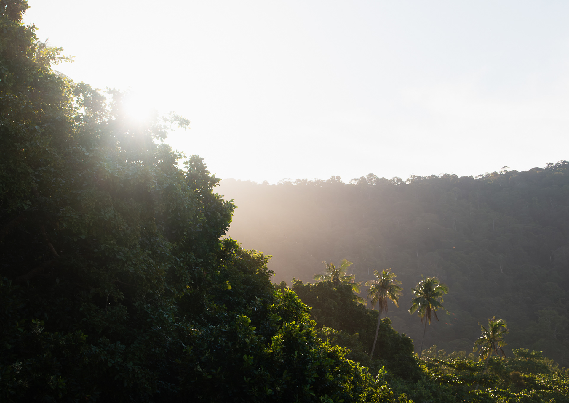 © Darren Creighton Photography  |  Malaysia
