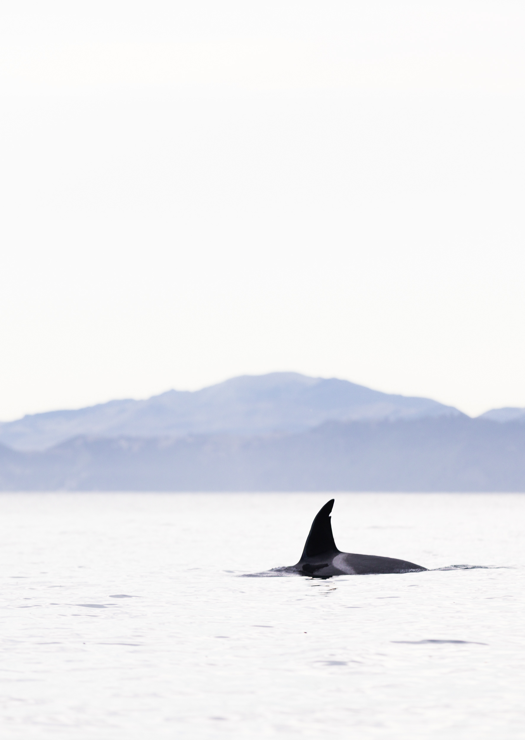 © Darren Creighton Photography | Kaikoura