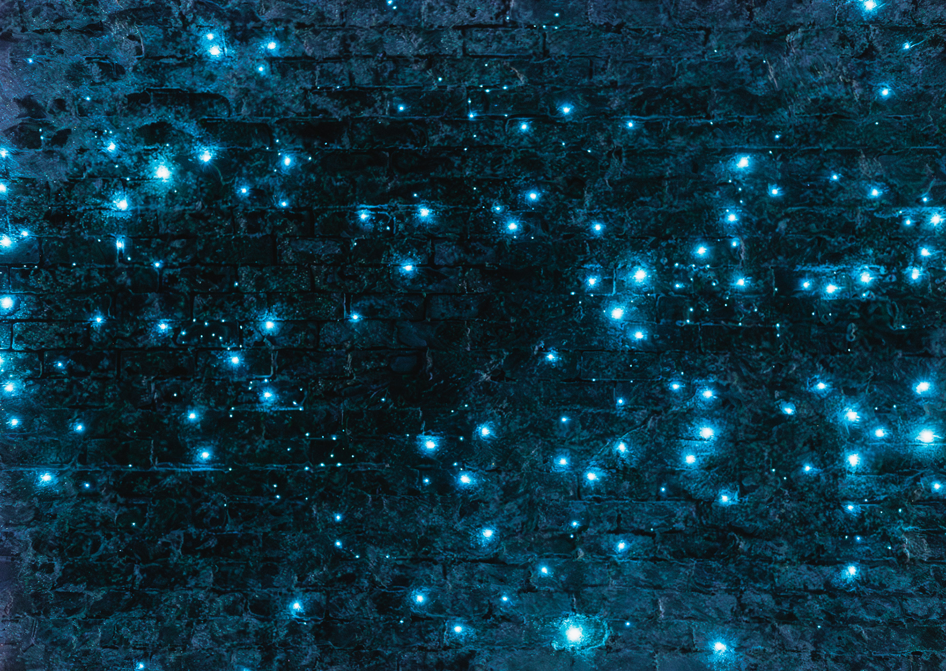 © Darren Creighton Photography | Helensburgh Glow Worm Tunnel