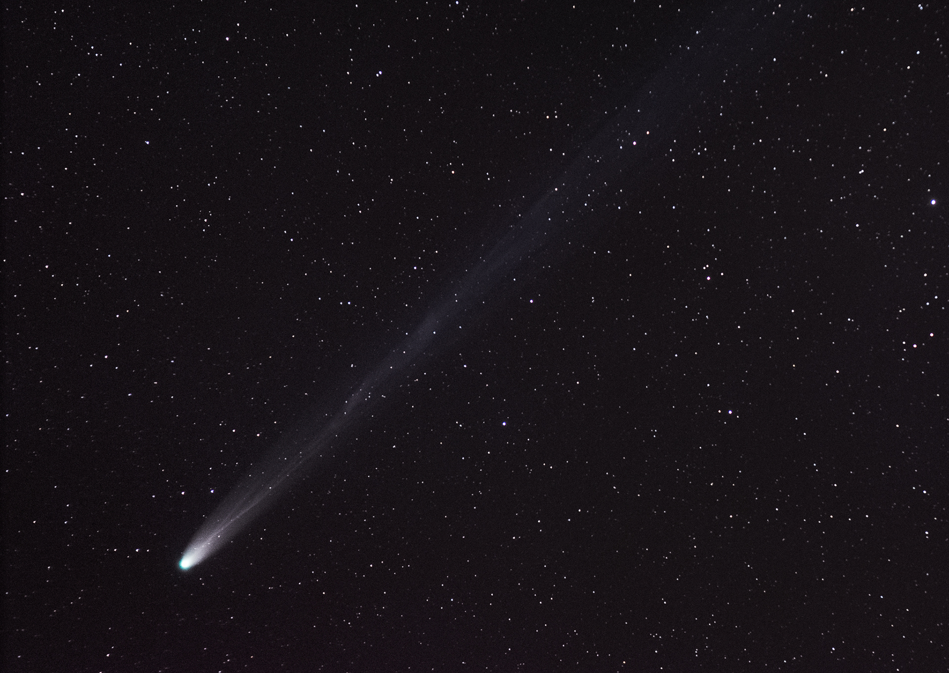 © Darren Creighton Photography  |  Comet C-2021 A1 Leonard